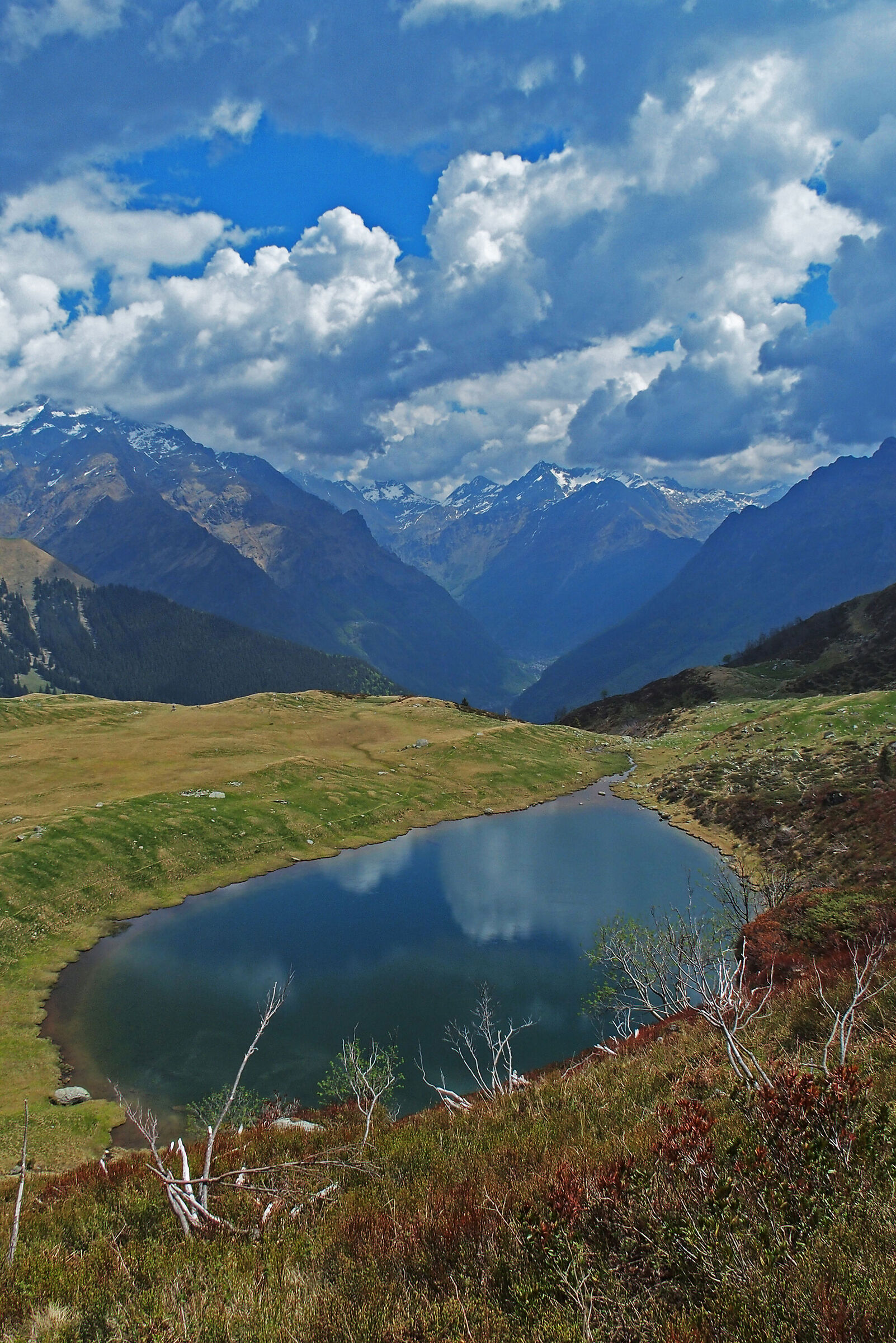 Alpine lake