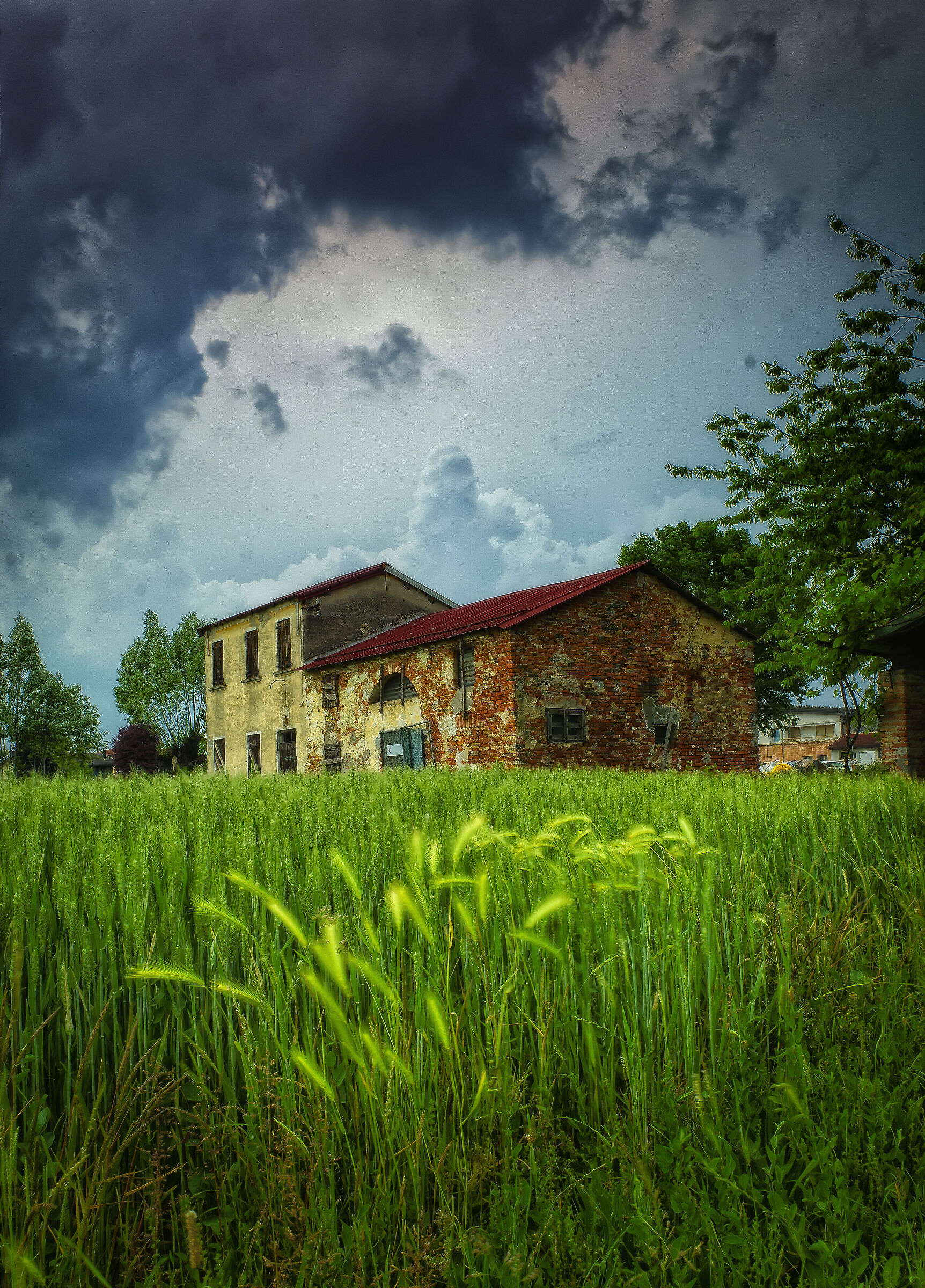 The house in the wheat