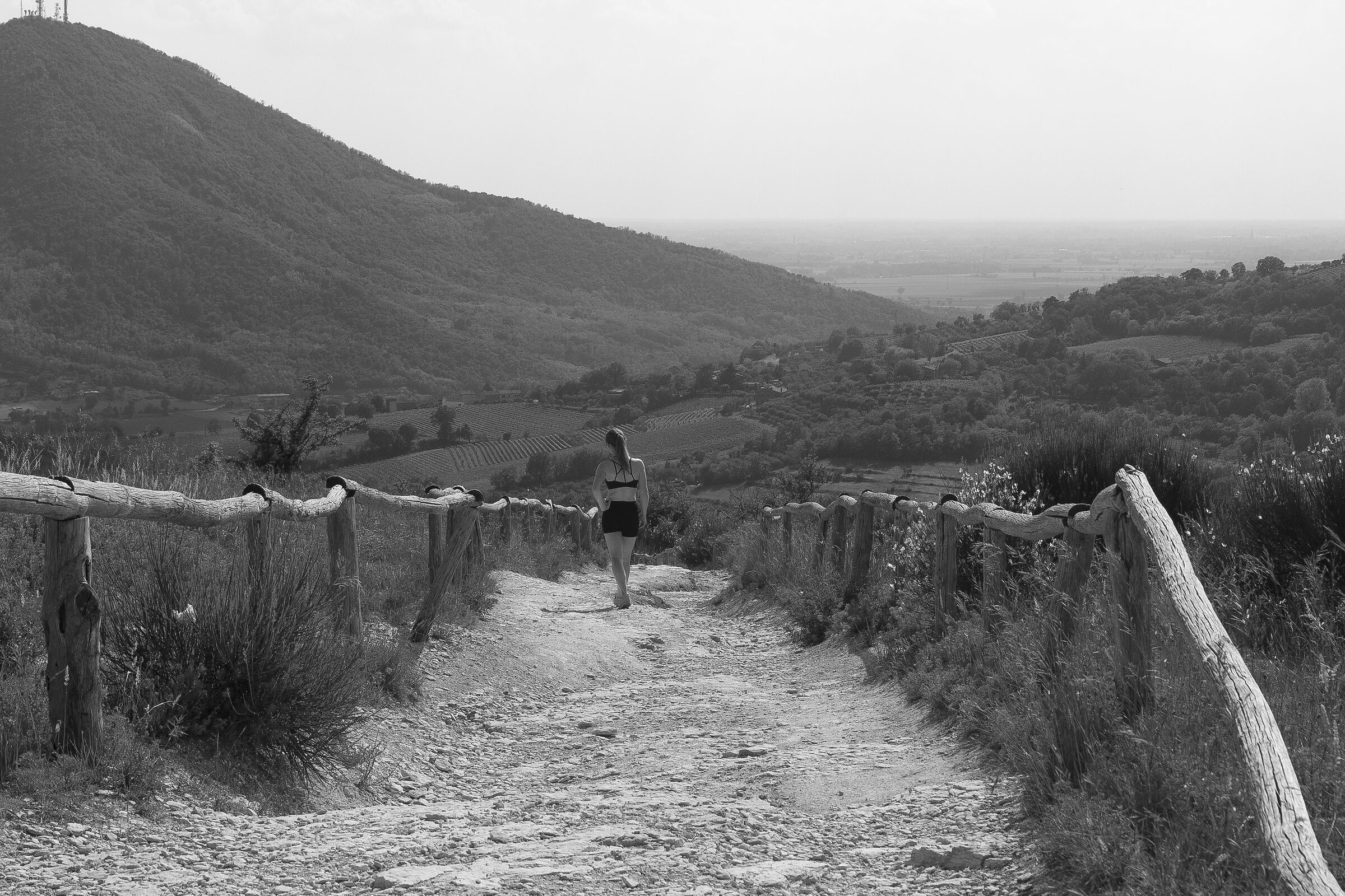 Walking through the path