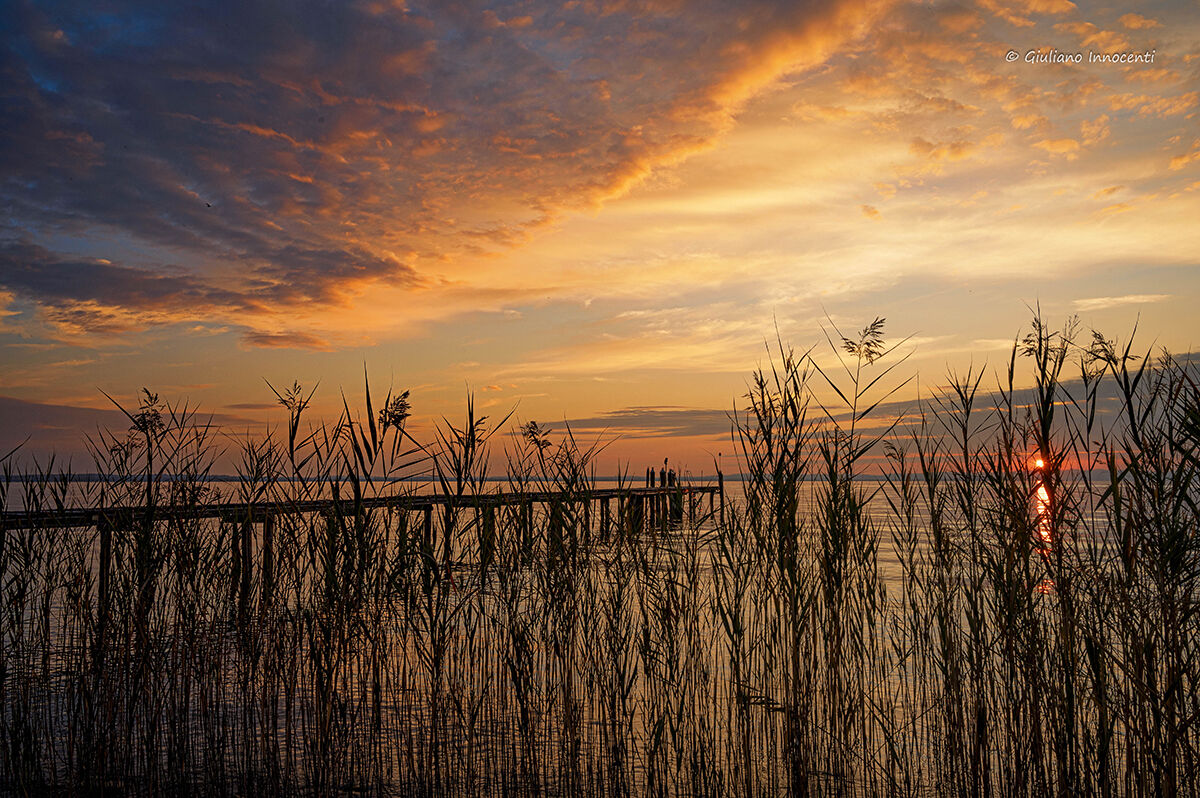 beyond the reeds ....