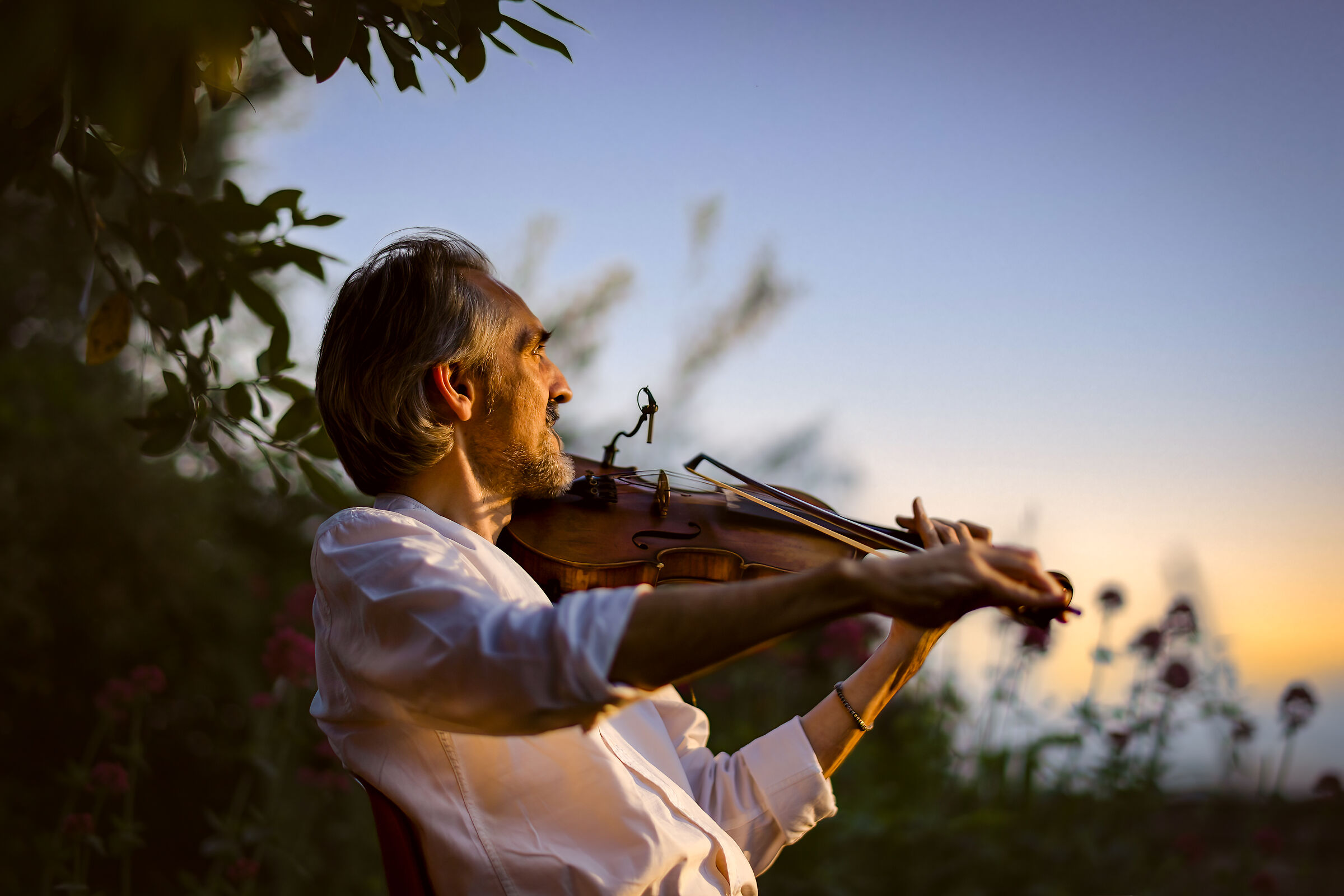Il maestro Renzi e il suo violino