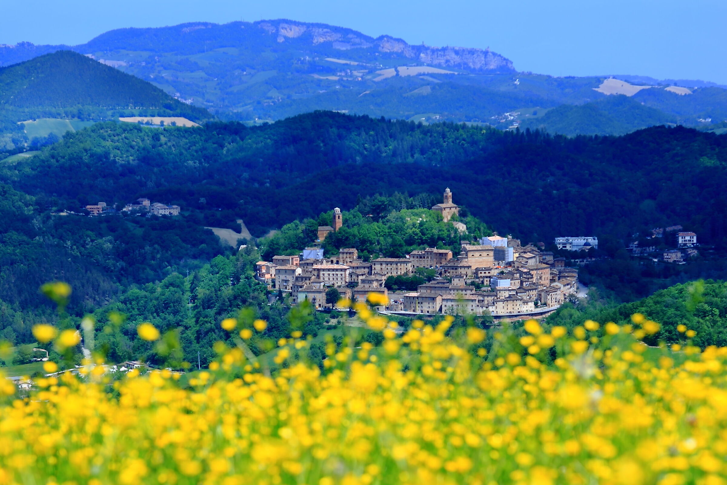 Hotels in Montefortino