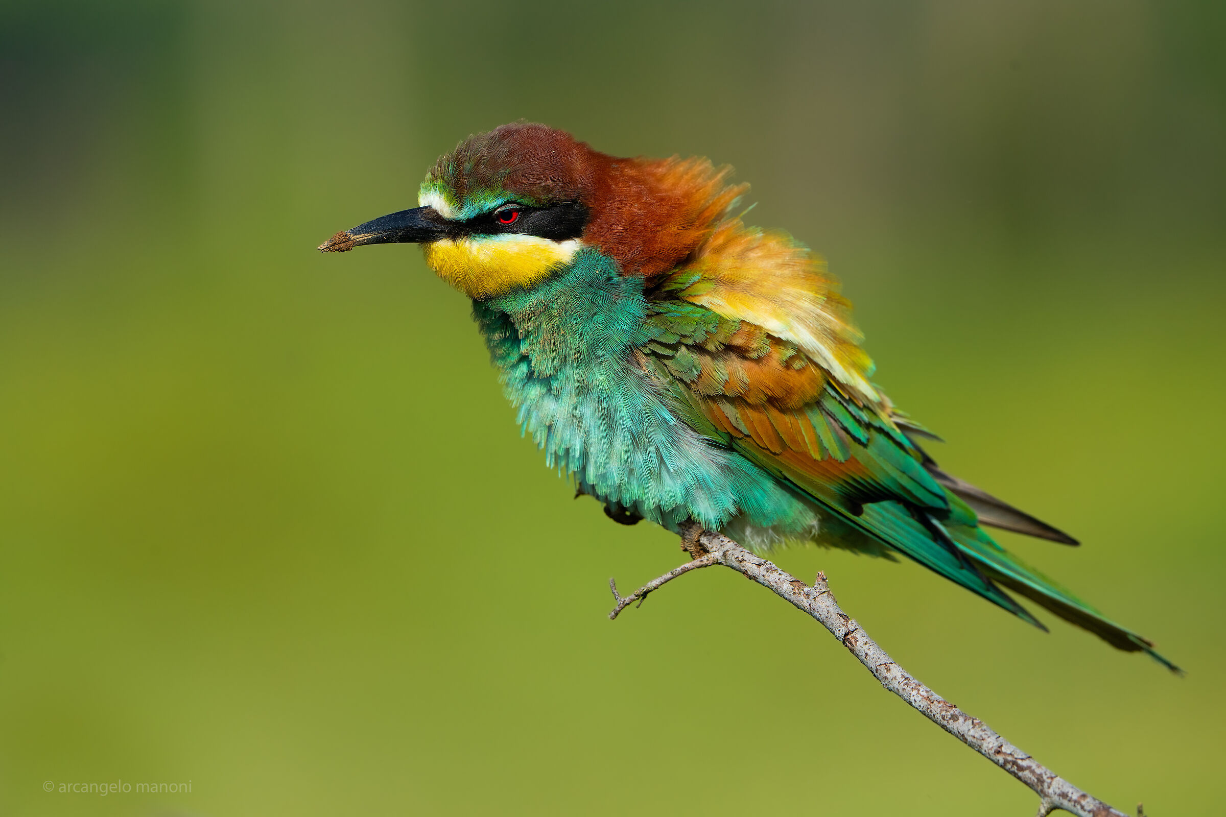 Drowsiness after excavation work