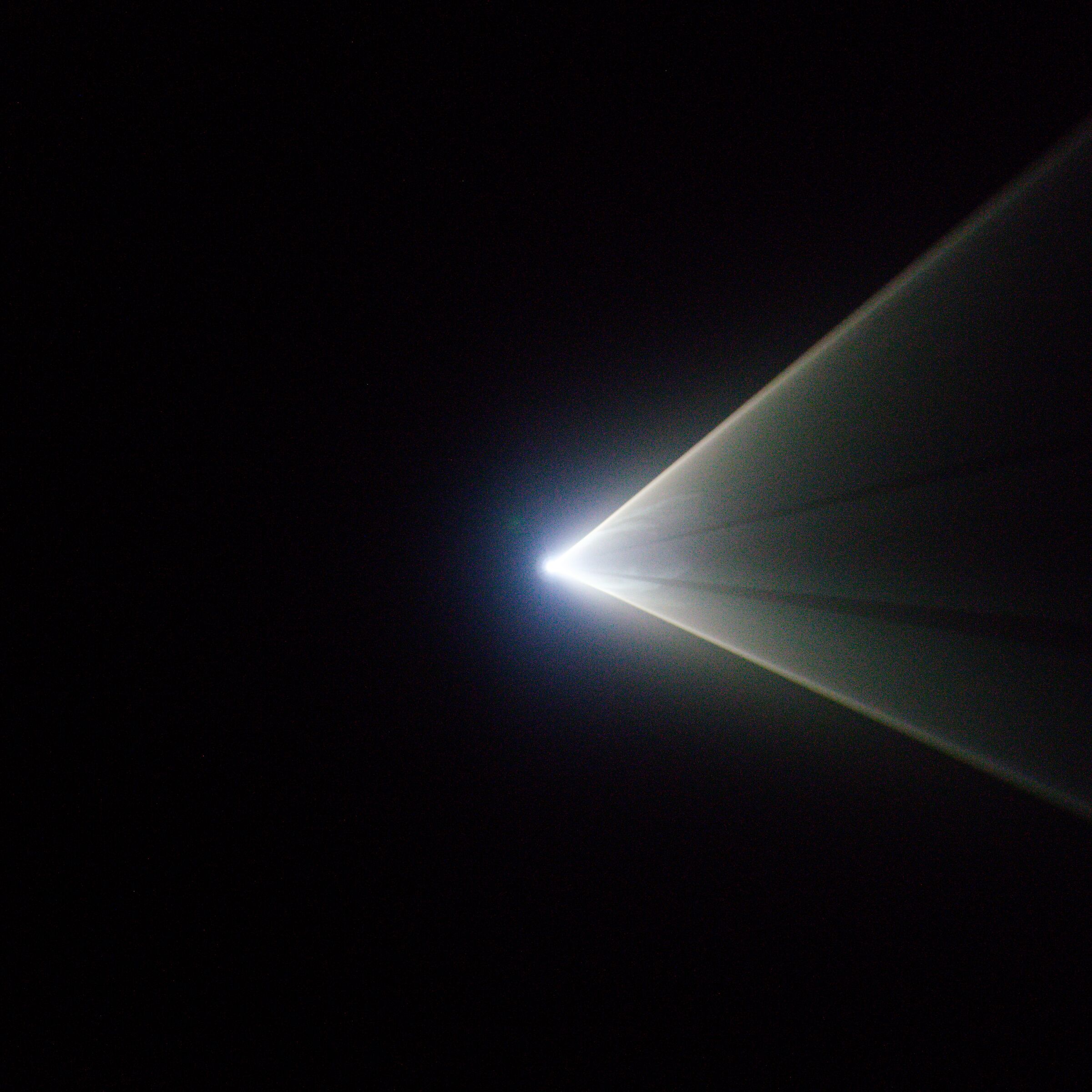 Rays