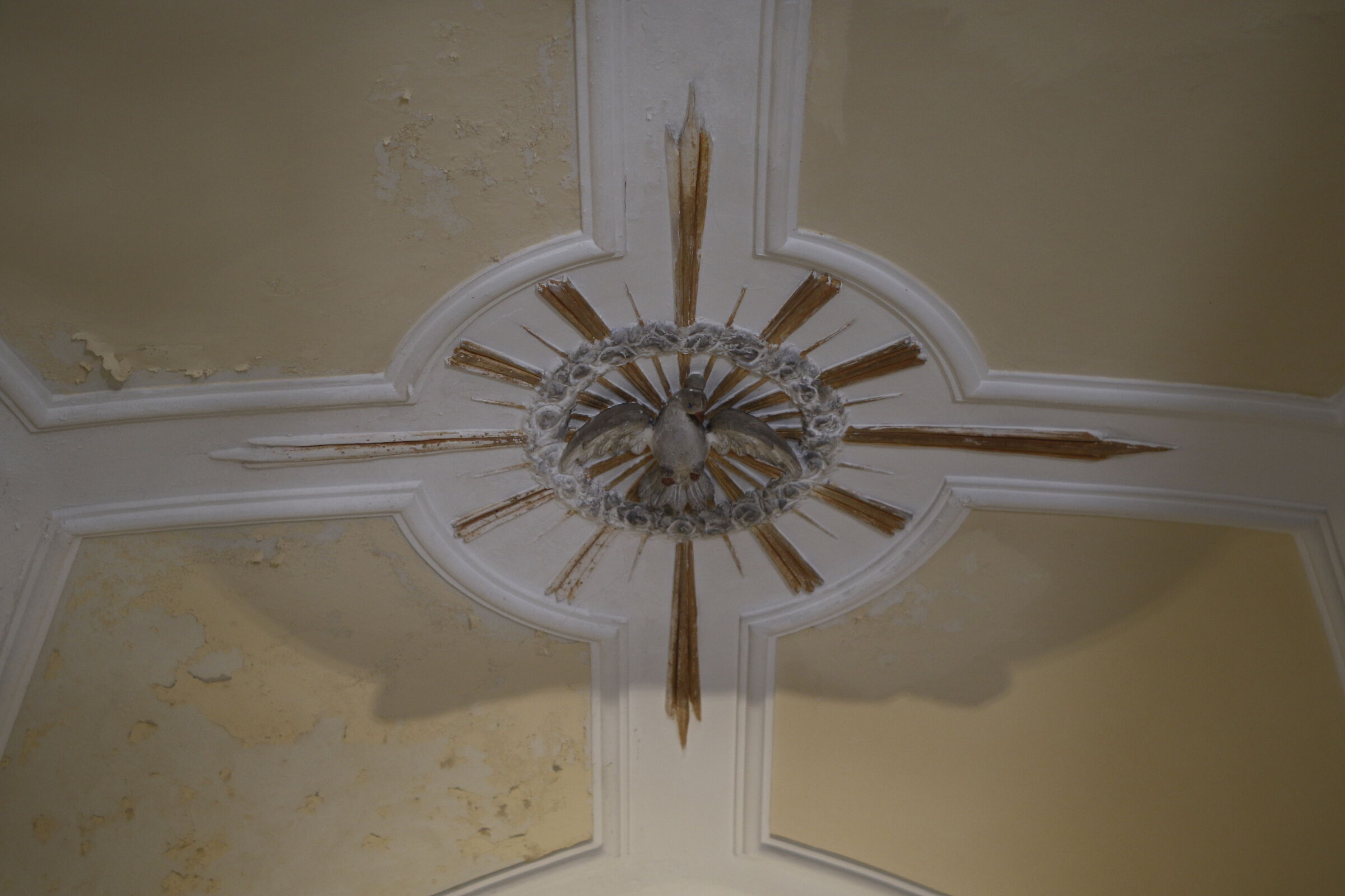 F. 1.4 " Esfoliazione Soffitto " Milvus Zeiss 50. ...