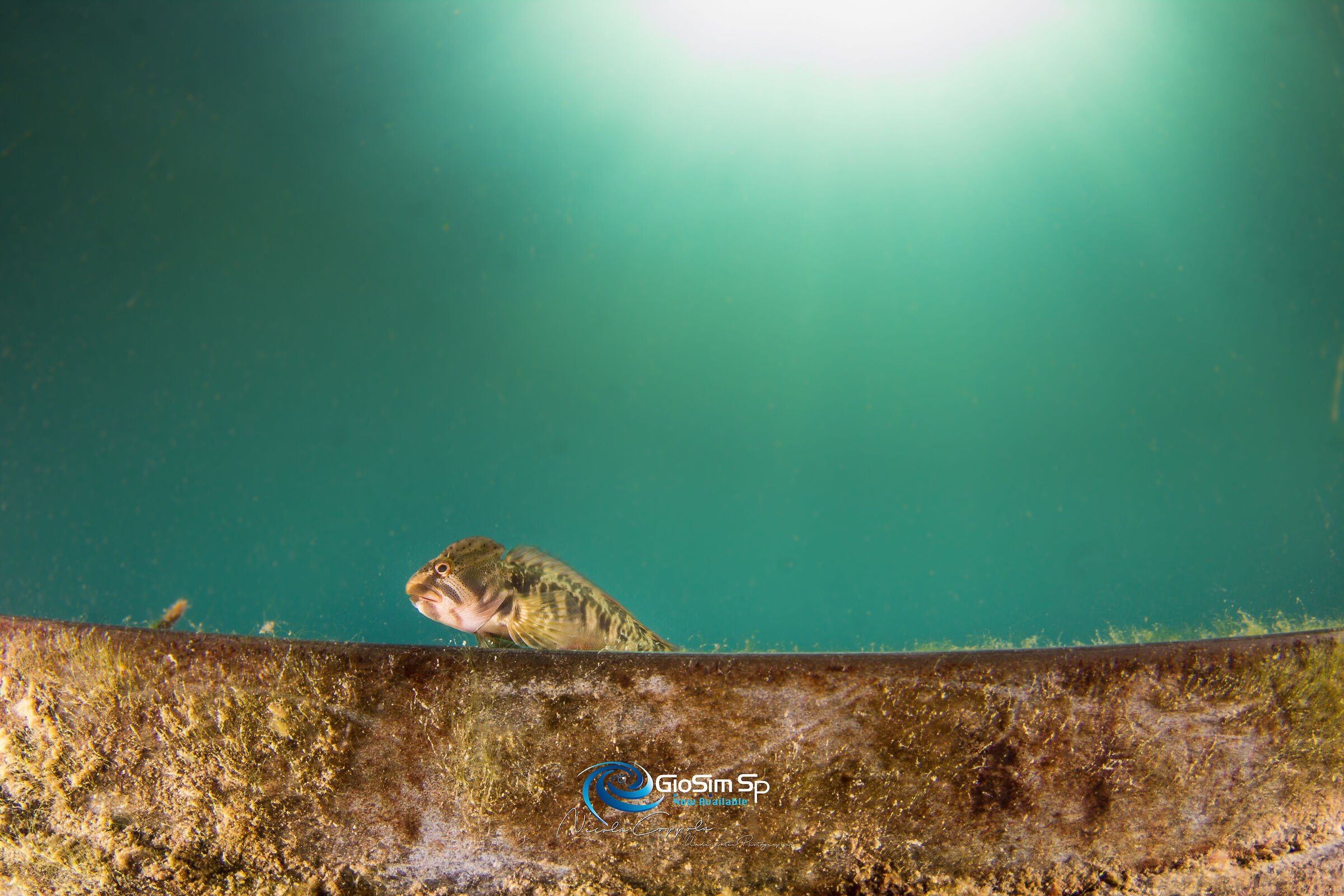 Bavosa of Lake Garda