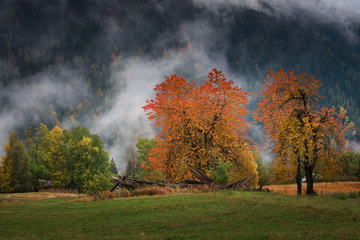 Past is the rain ...