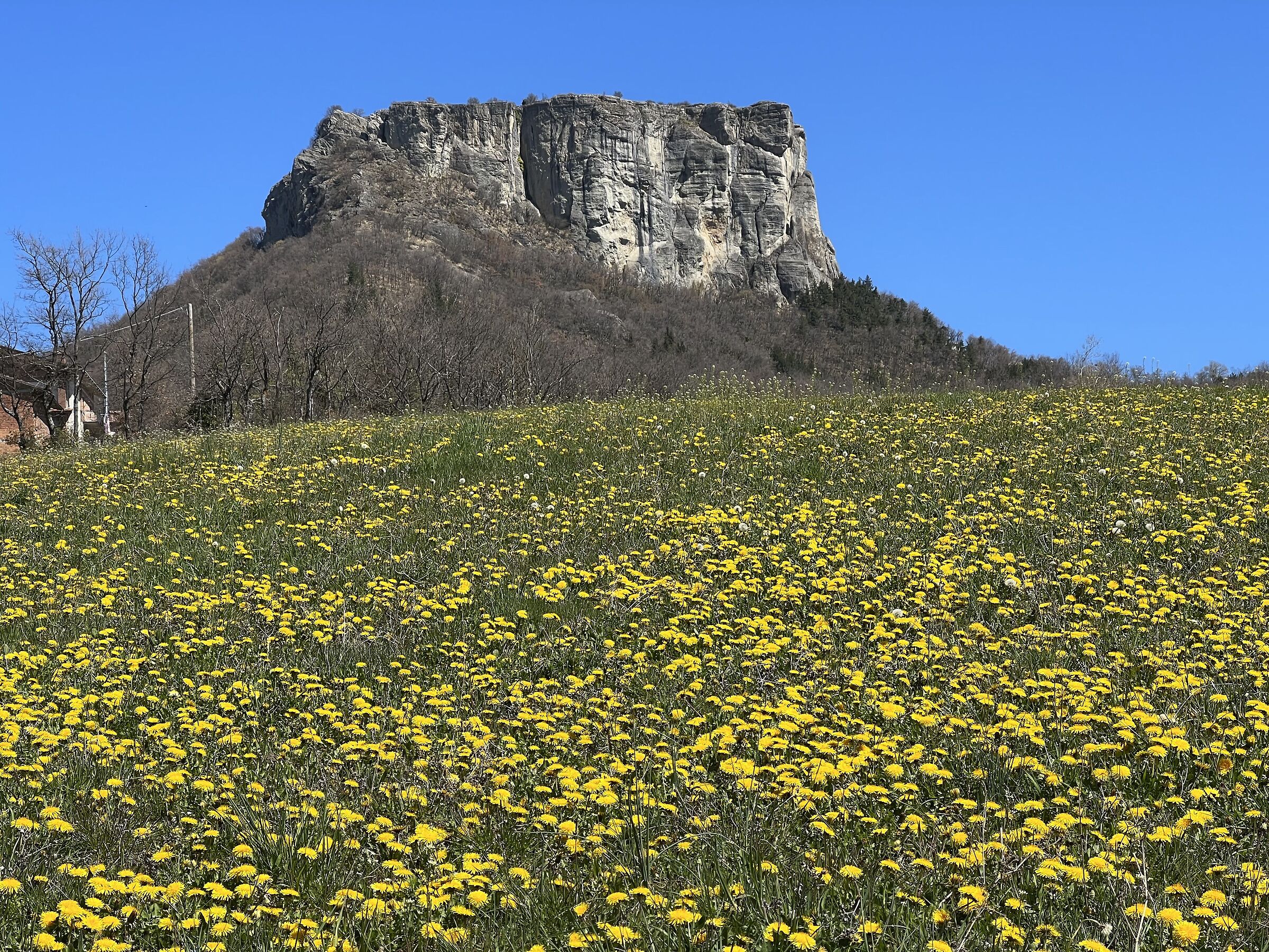 Bismantova stone in spring