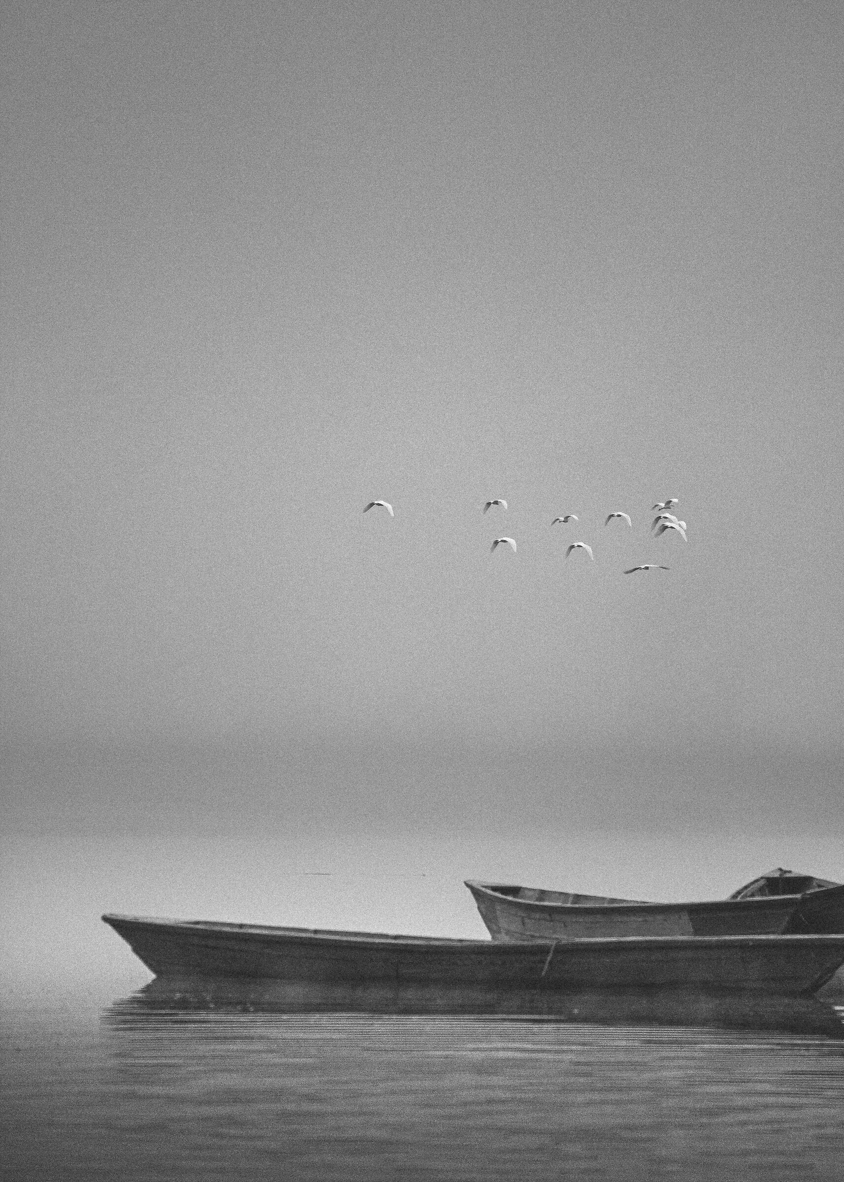 Tranquillità