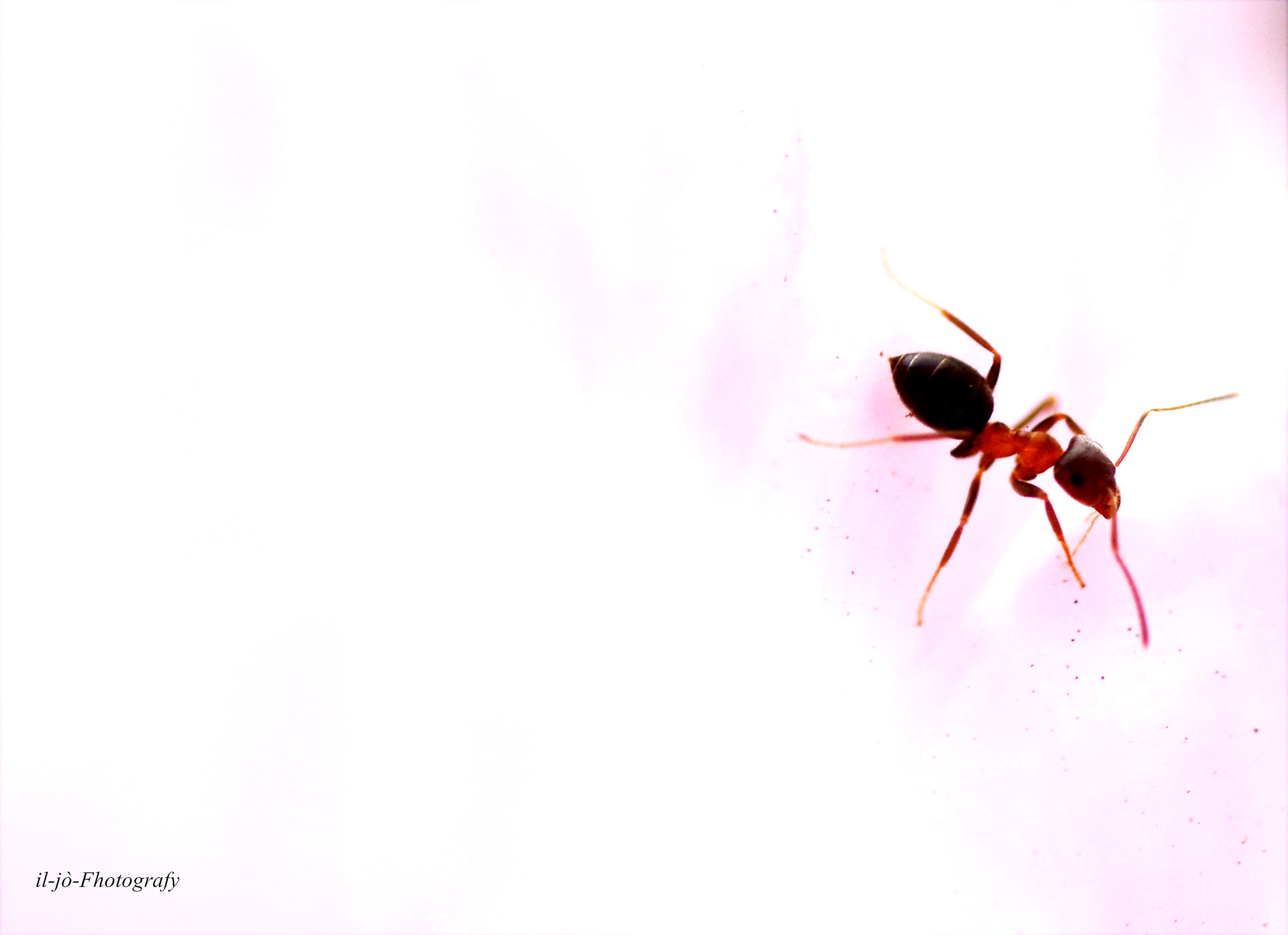 Untitled Photo
