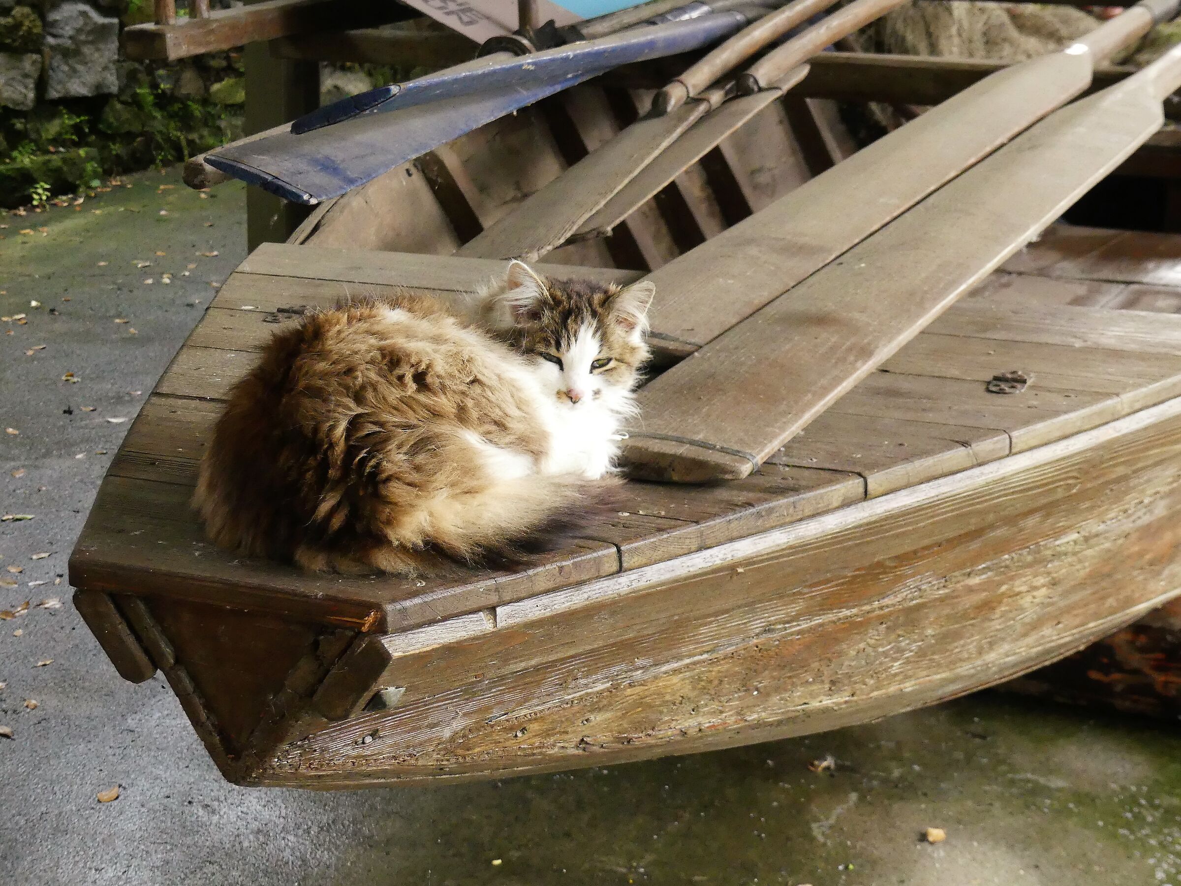 The fishermen's mascot