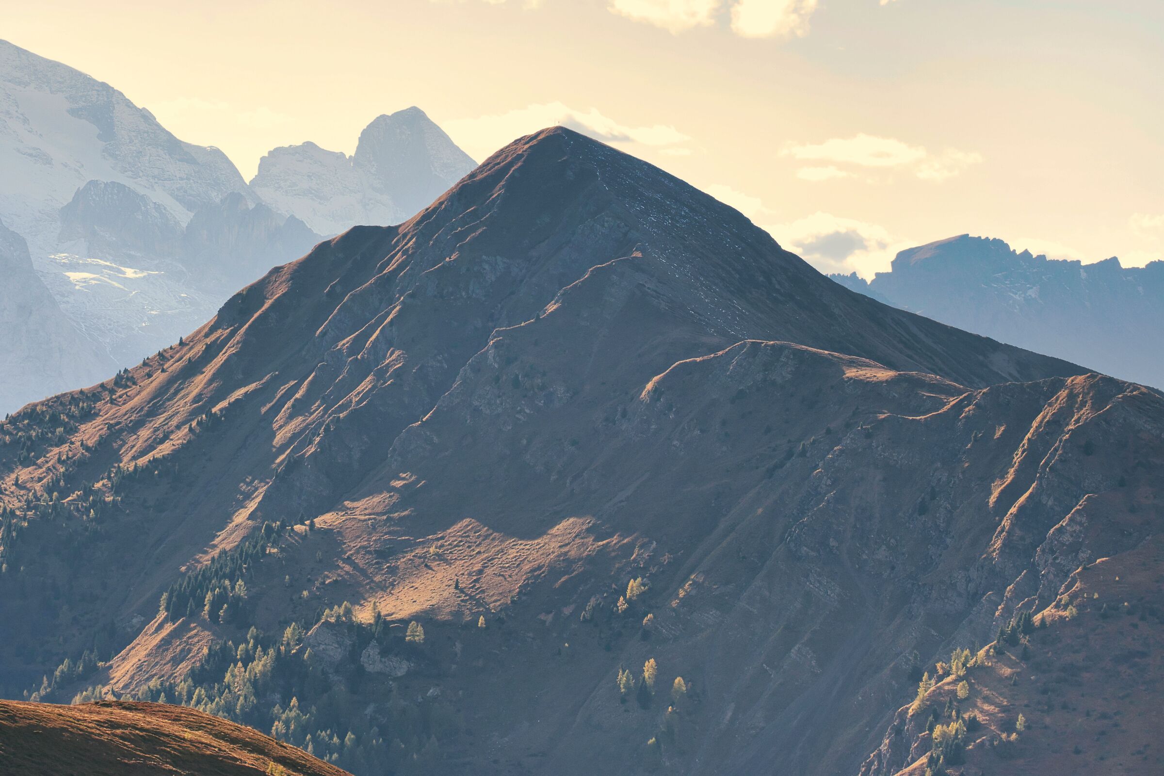 Monte Pore