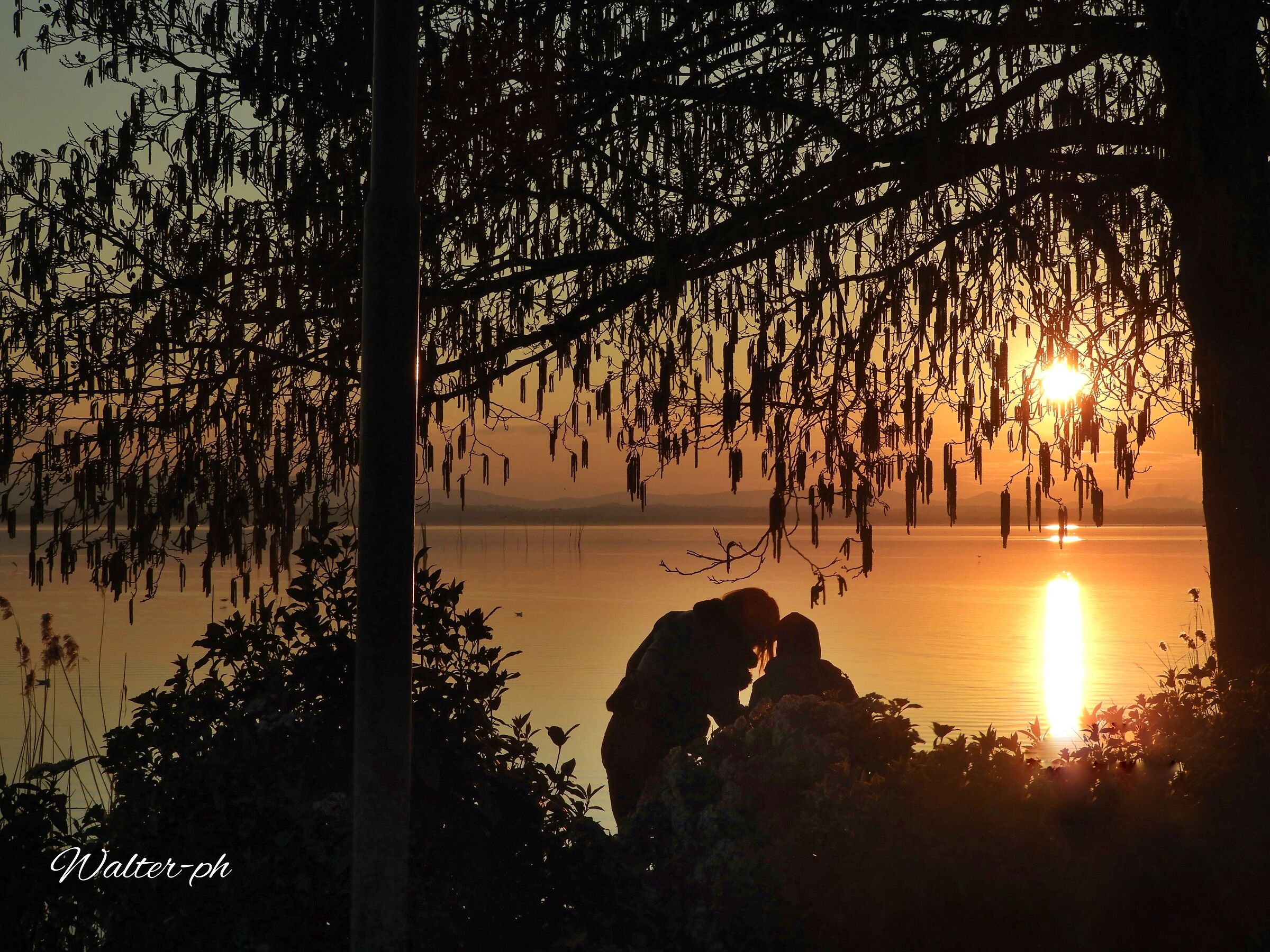 Loving each other at sunset