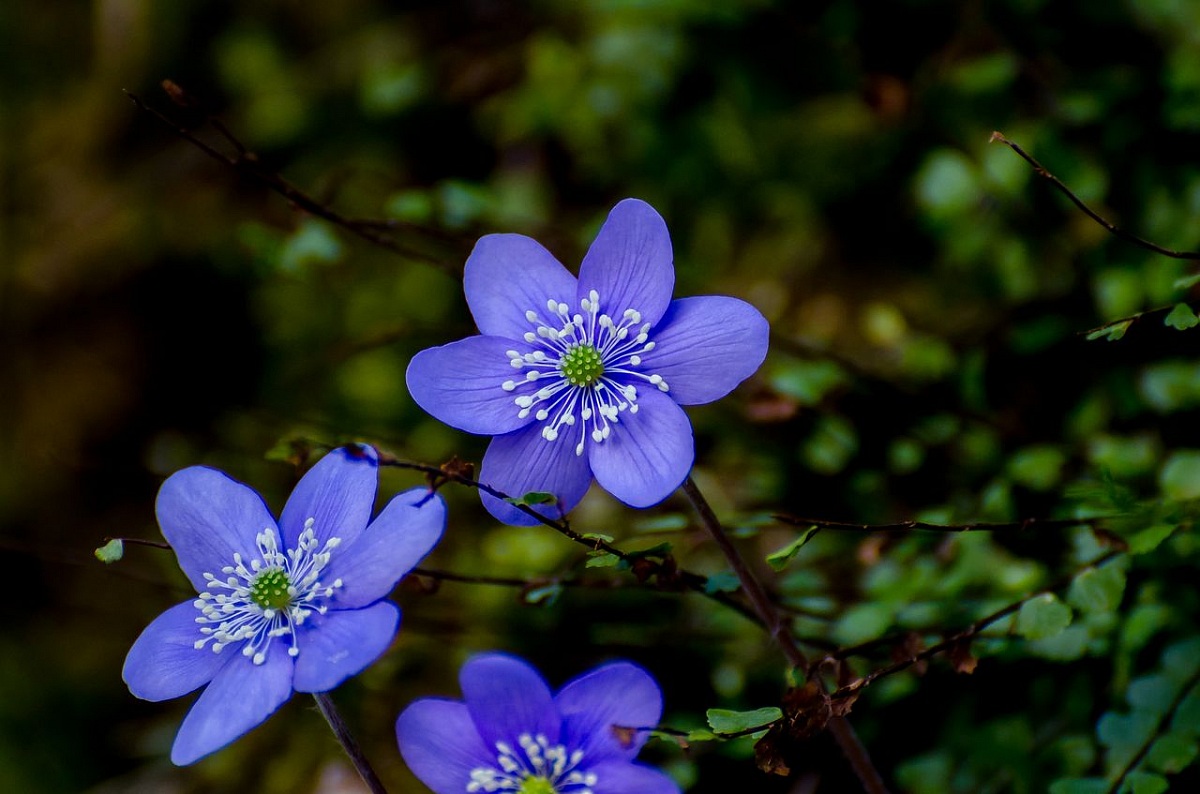 Together it's better off!