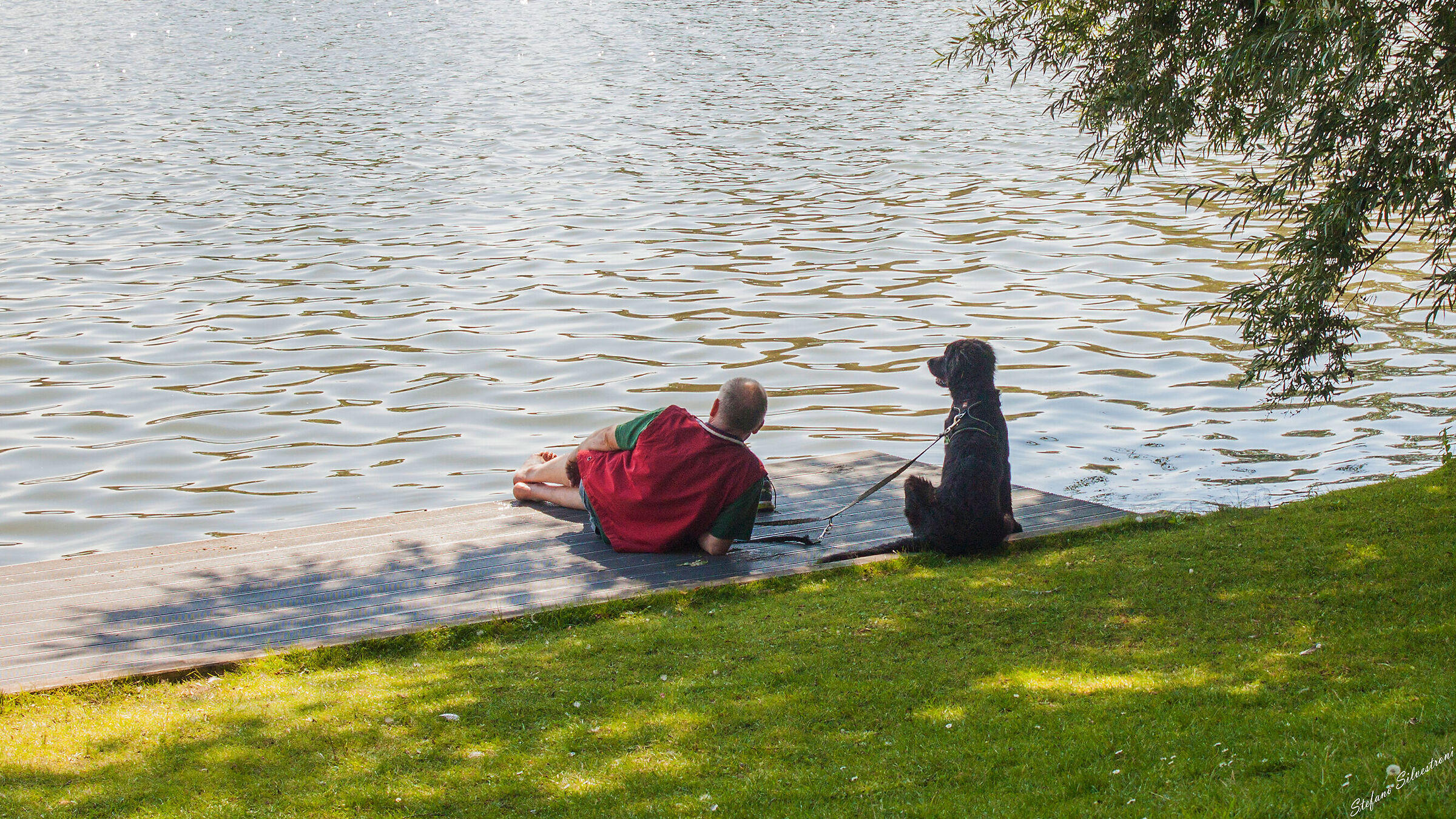 "Sitting dog on the dock of the bay..."