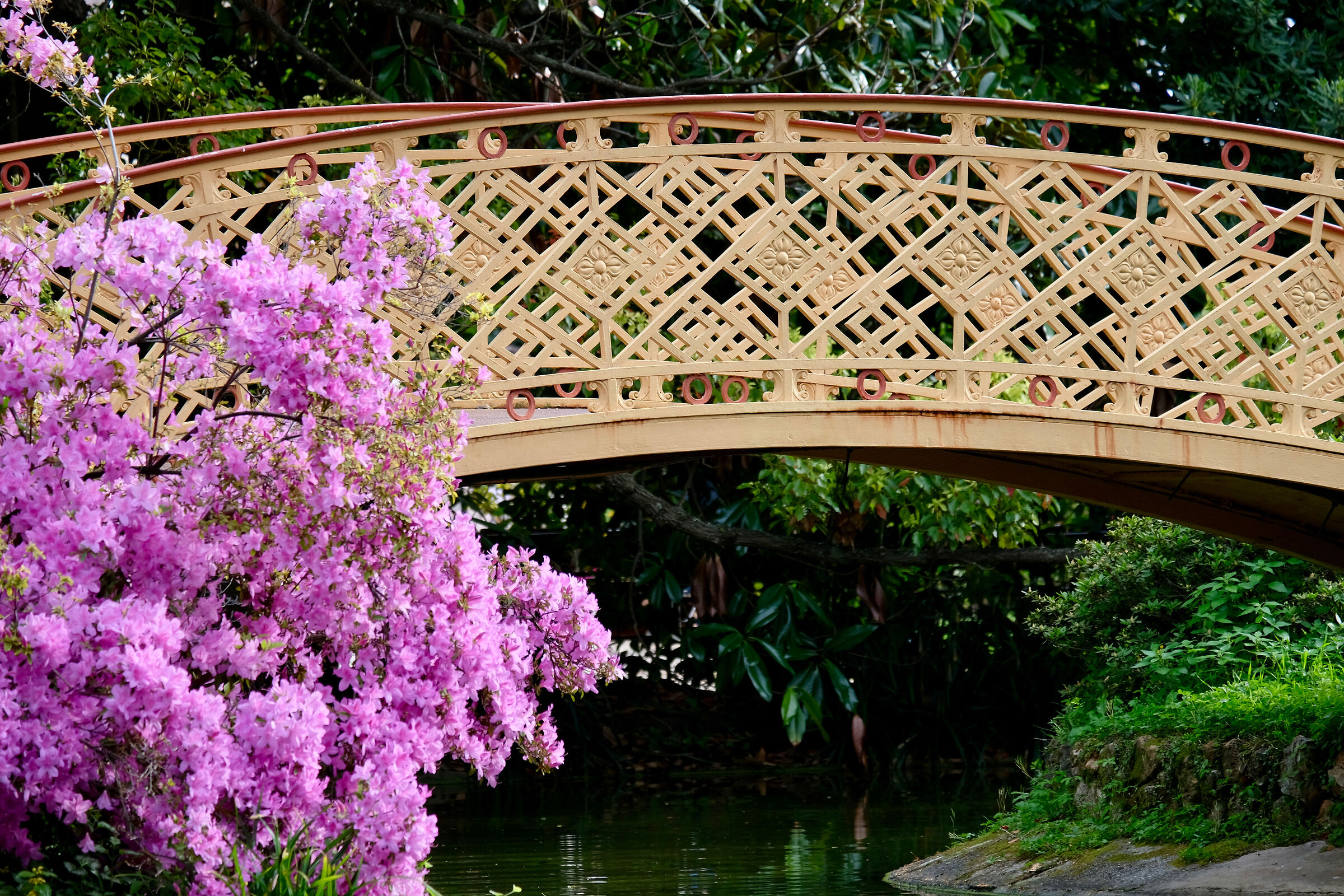 Villa Pallavicini, Genova Pegli