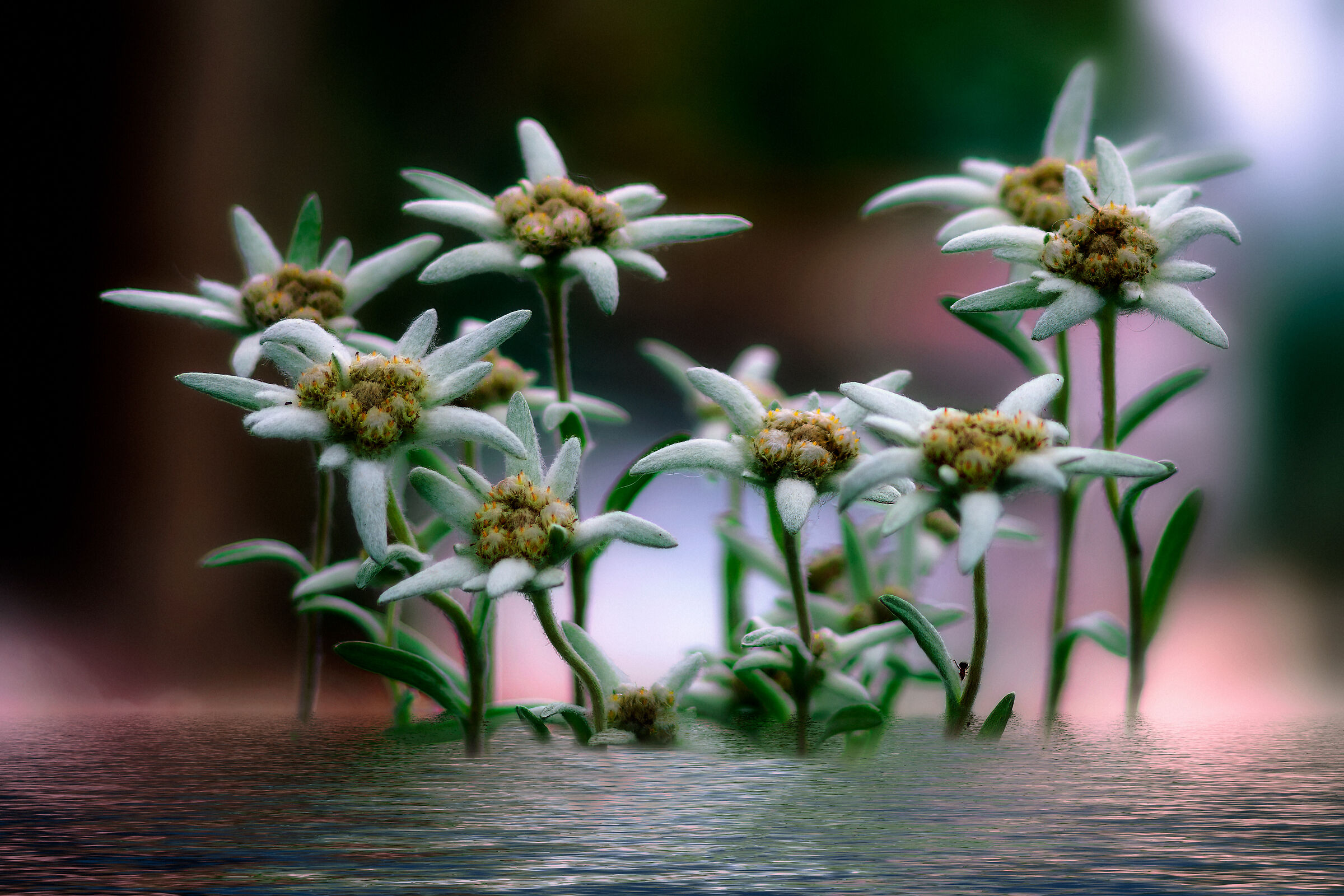 Catastrophic situation