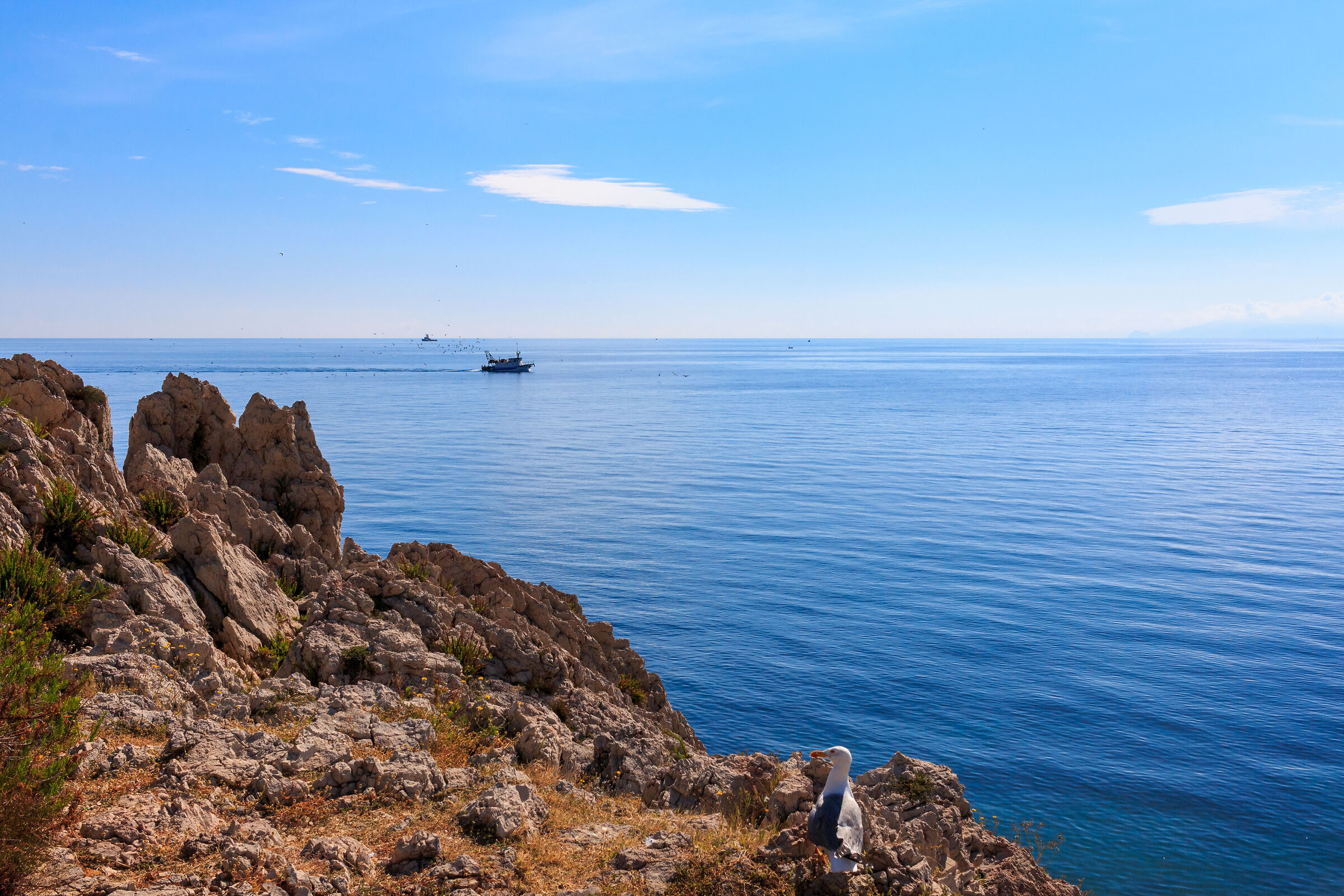 Quasi quasi Vado anch'io