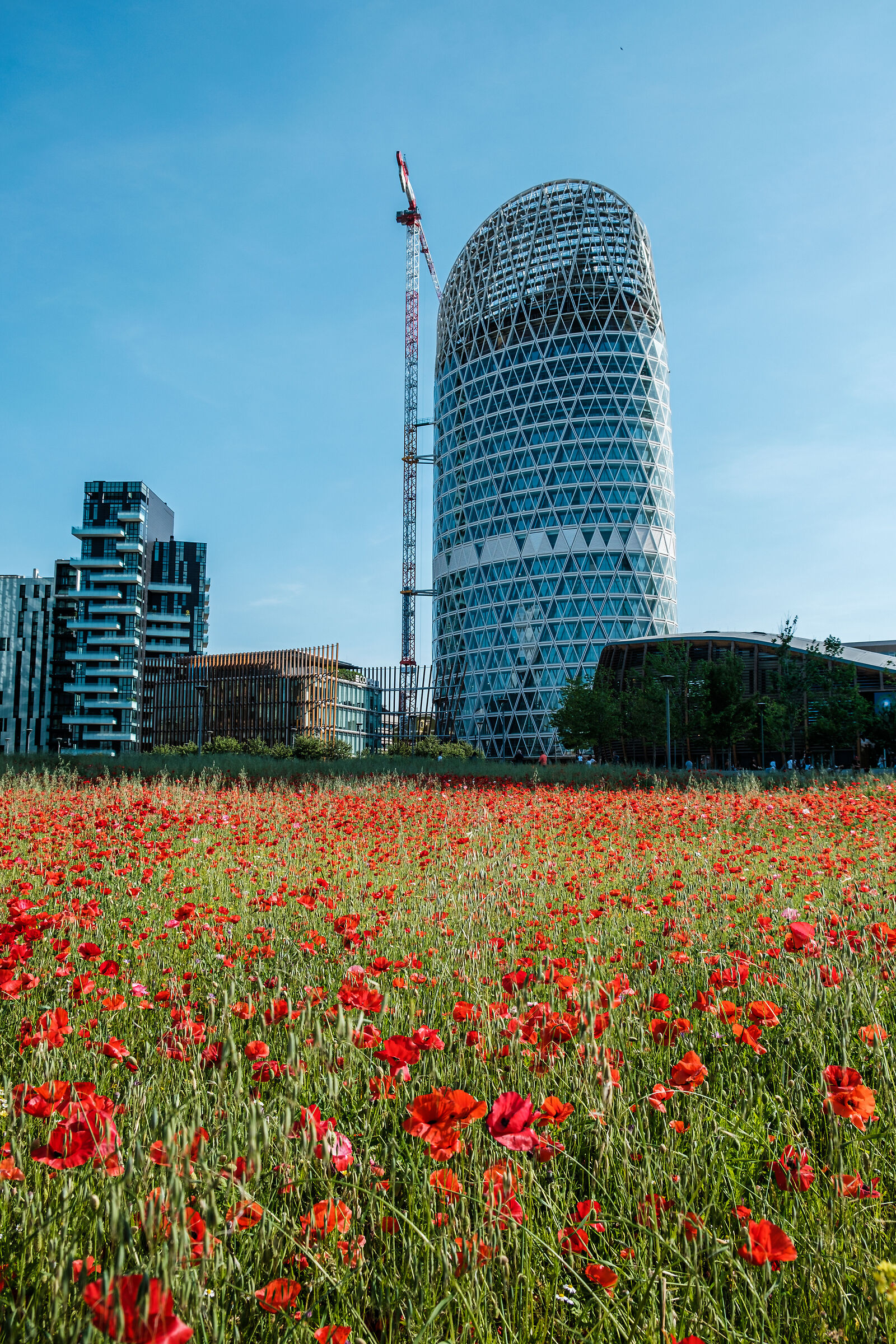 Biblioteca degli alberi  - Milano