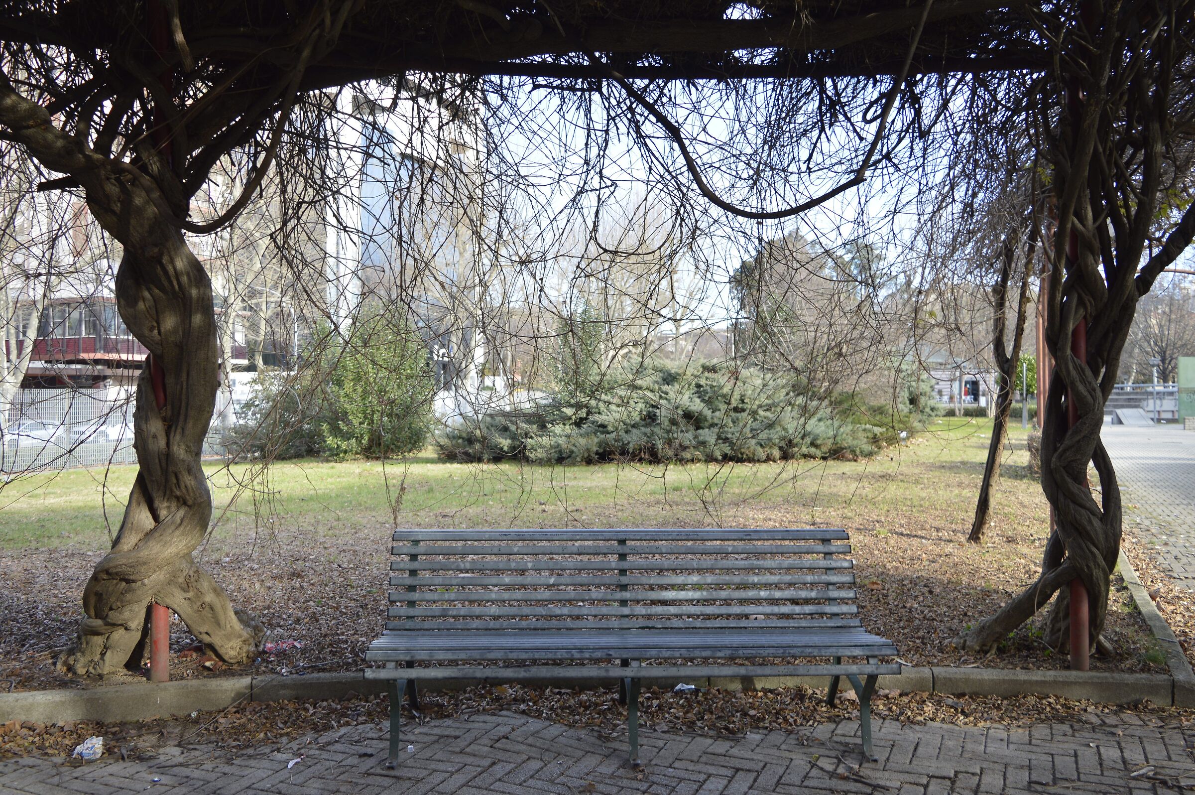 Bench