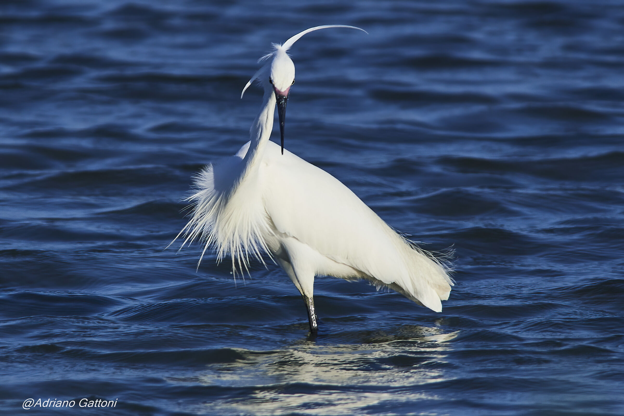 che fai ... mi stai fotografando