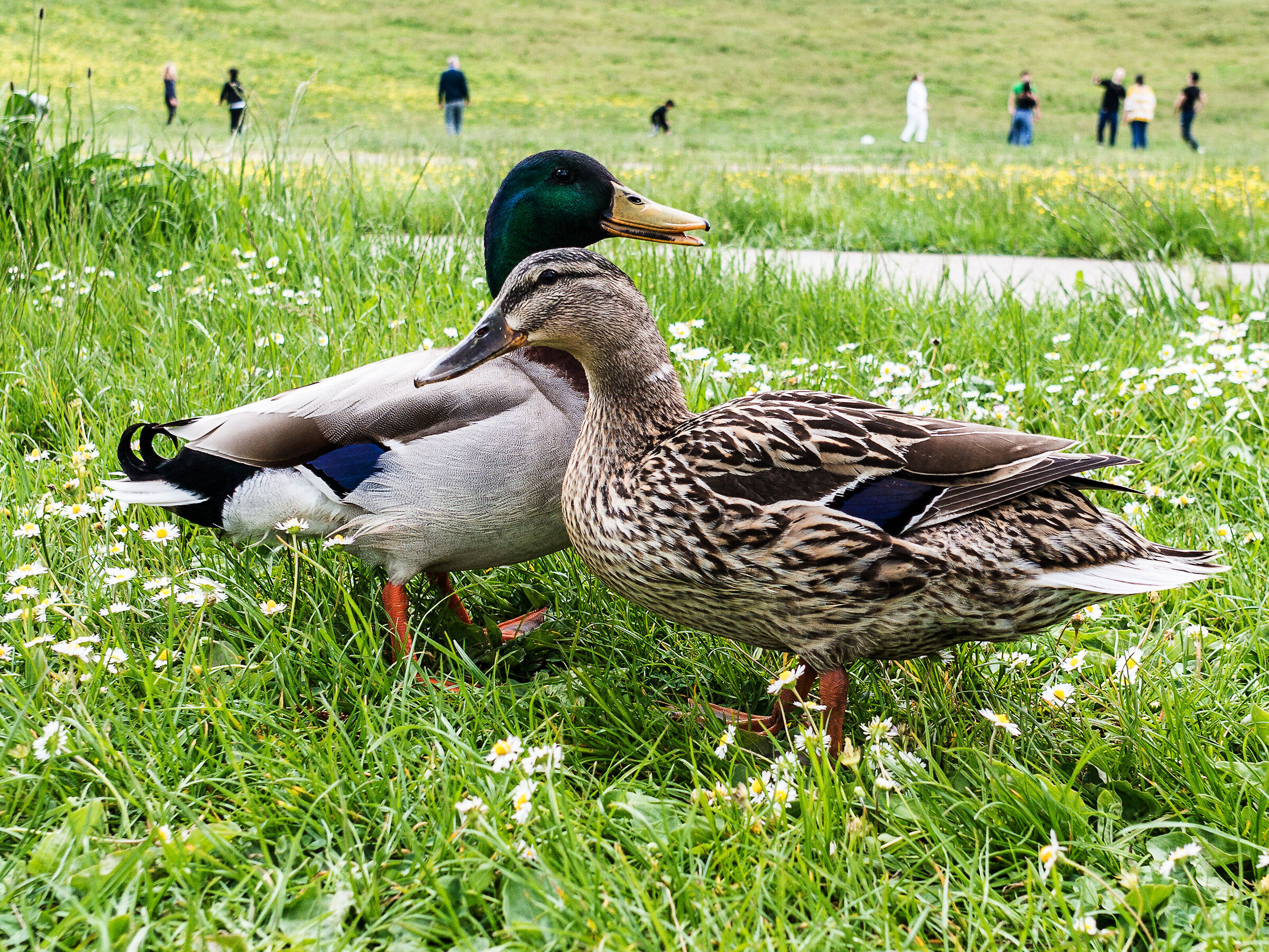 The lockdown is over!