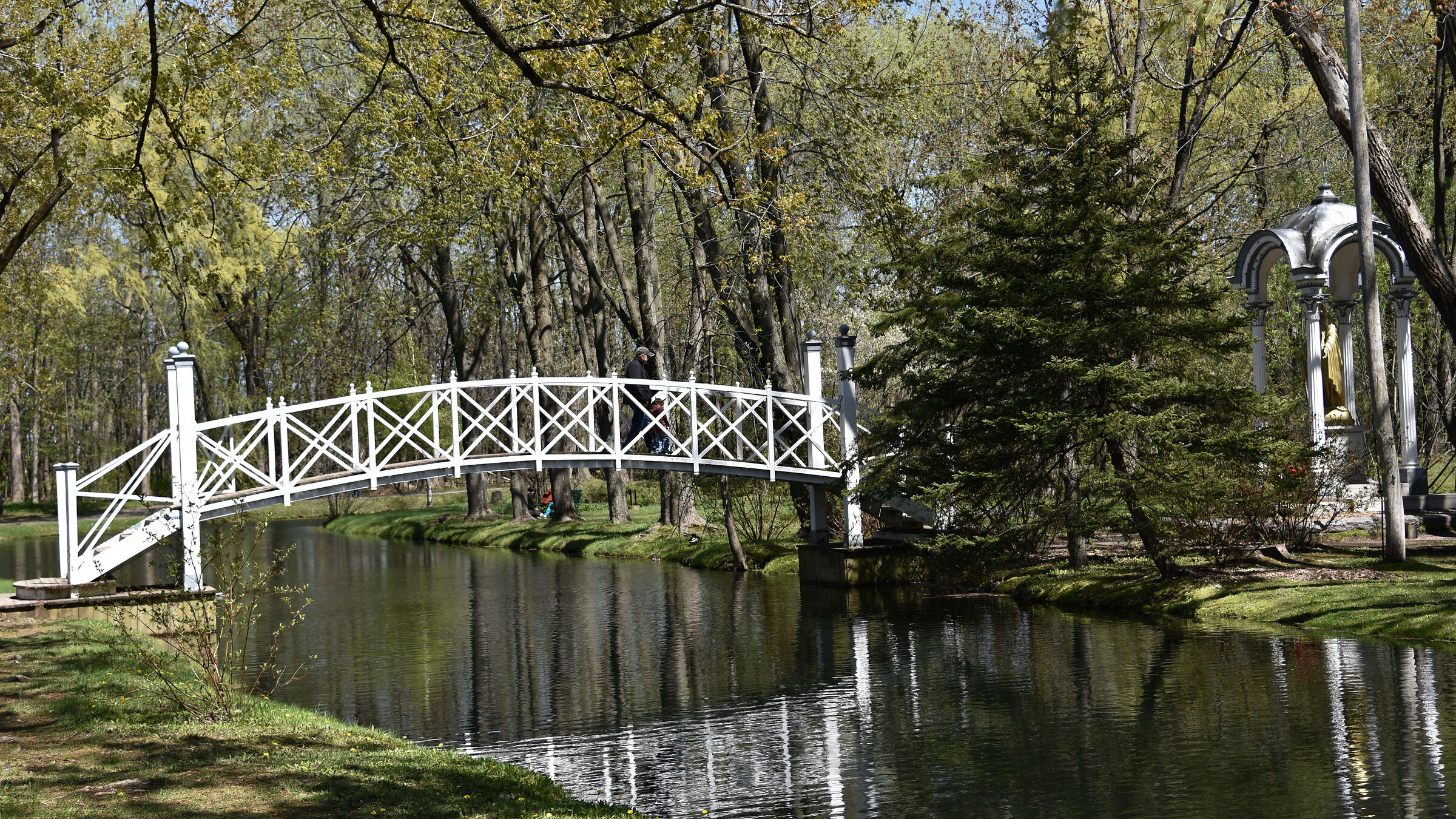 Splendido posto per rilassarsi, paesaggio superbo in un parc...