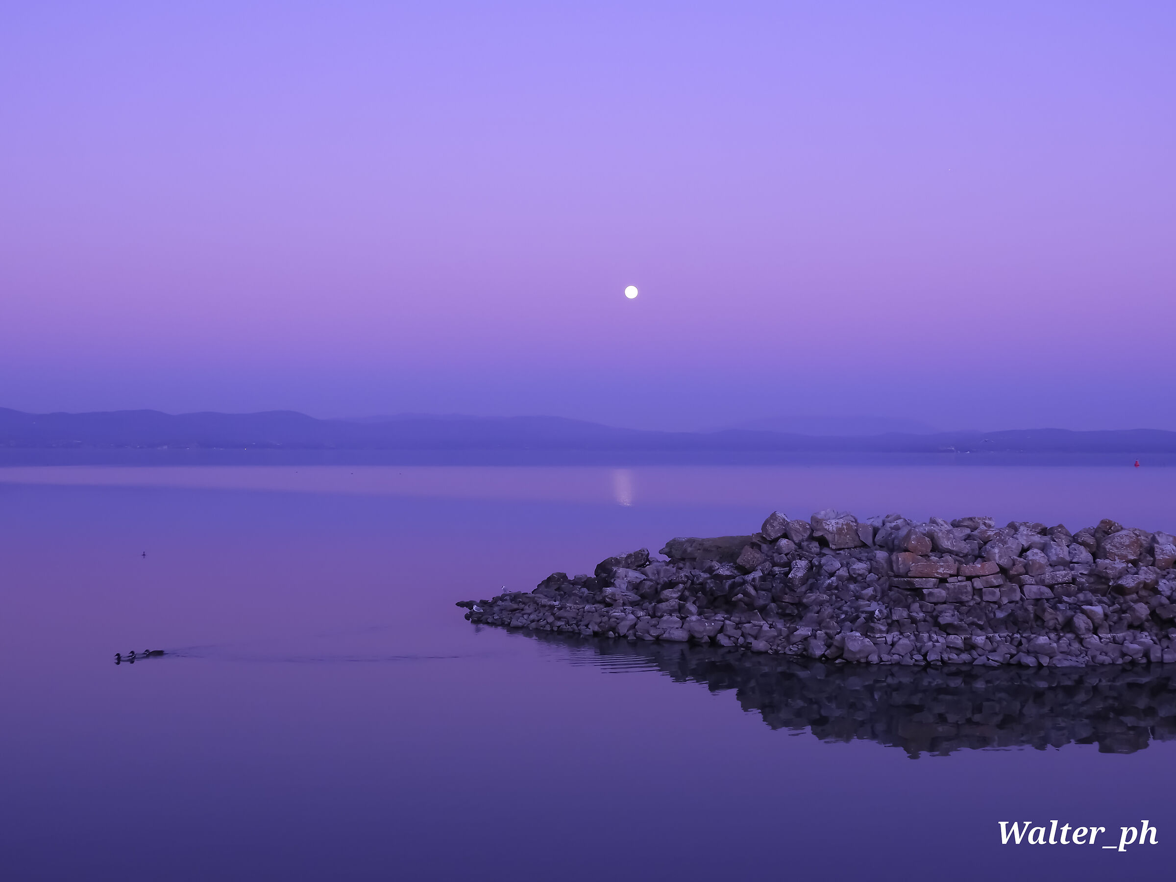 In the light of the moon ..