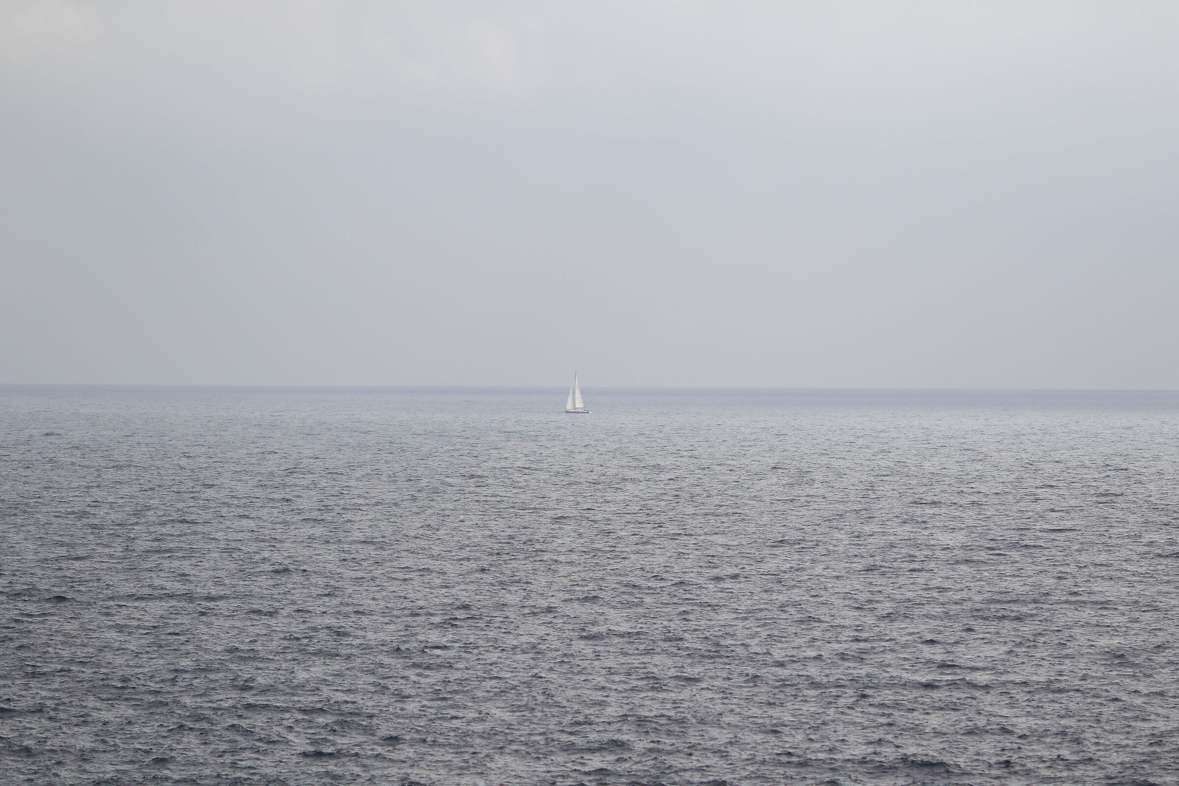 F. 2.5, 1/ 8.0 0 0, ISO 125- Crop 215