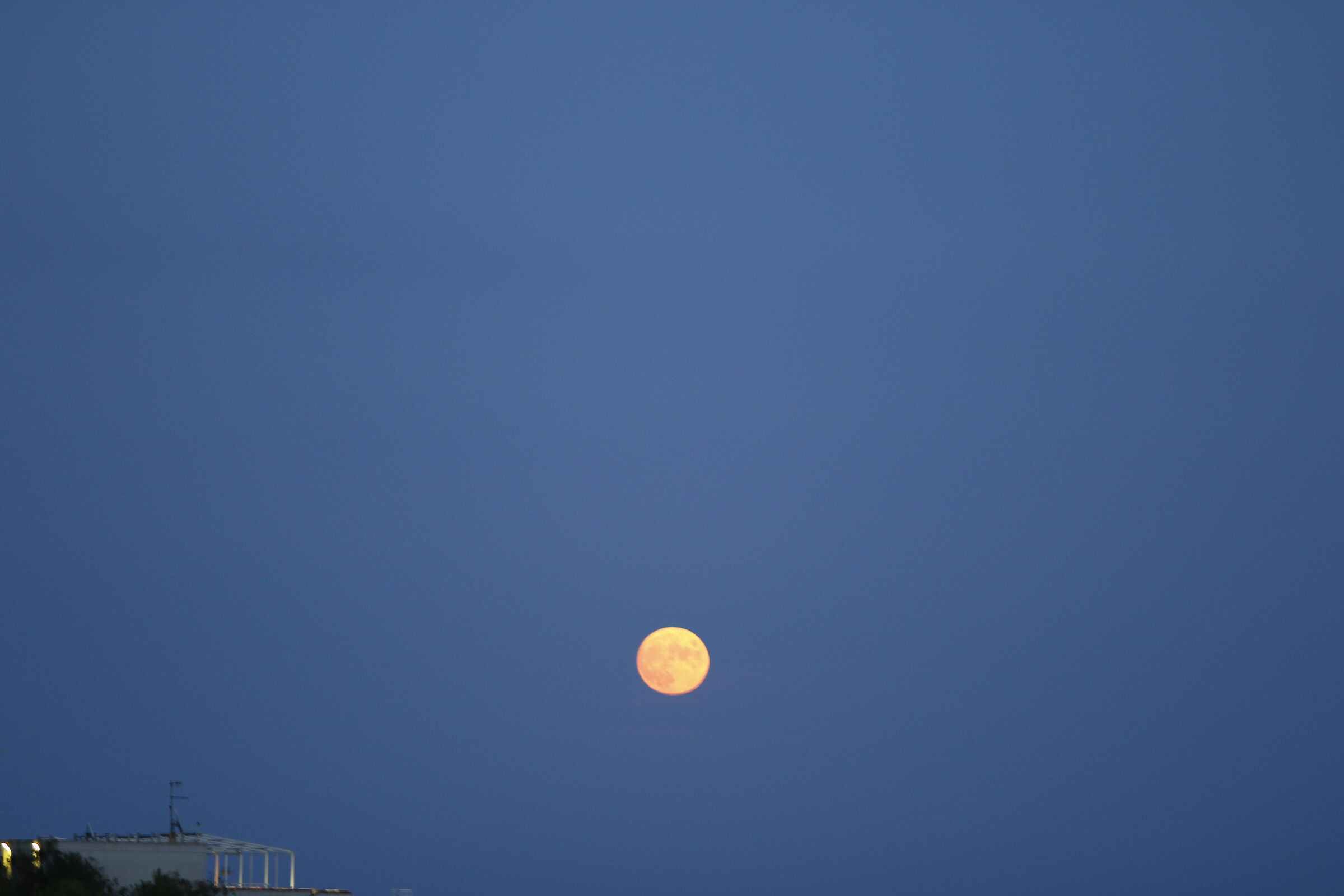 F. 2, 1, 15, ISO 500- 7D II, 135 F. 2 L usm- Crop 215