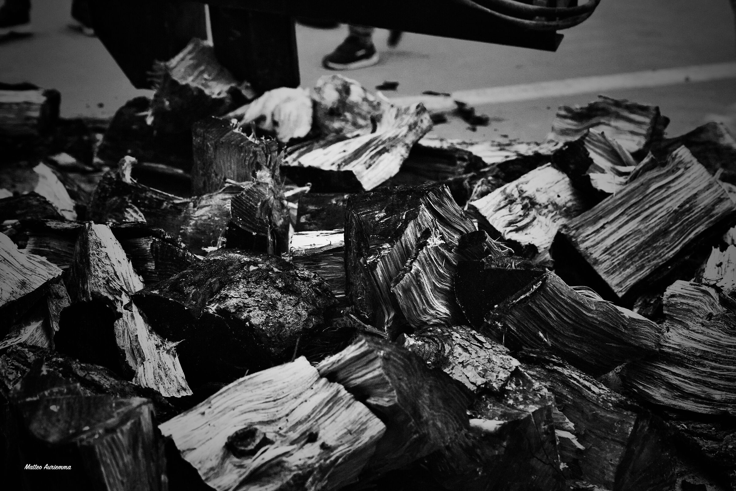 B&W - agriculture fair