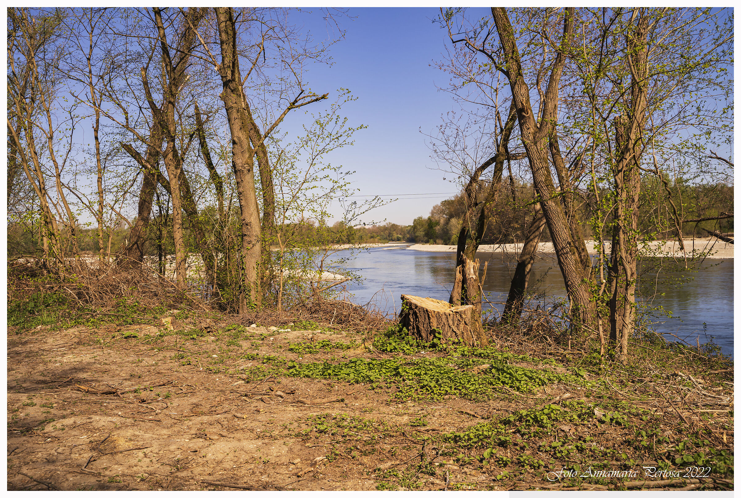 Una domenica con Dany Sei
