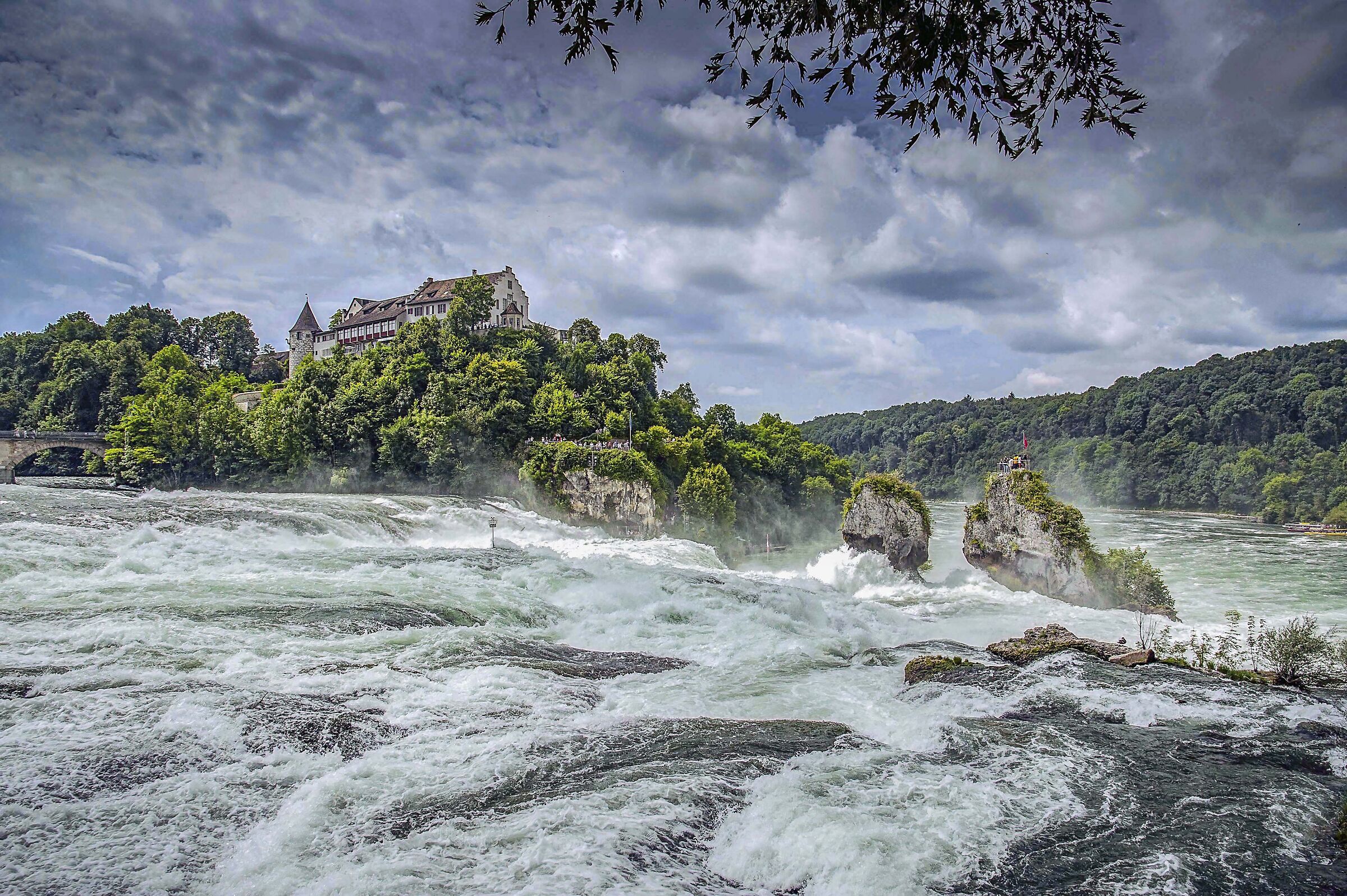 Rhine Falls 6