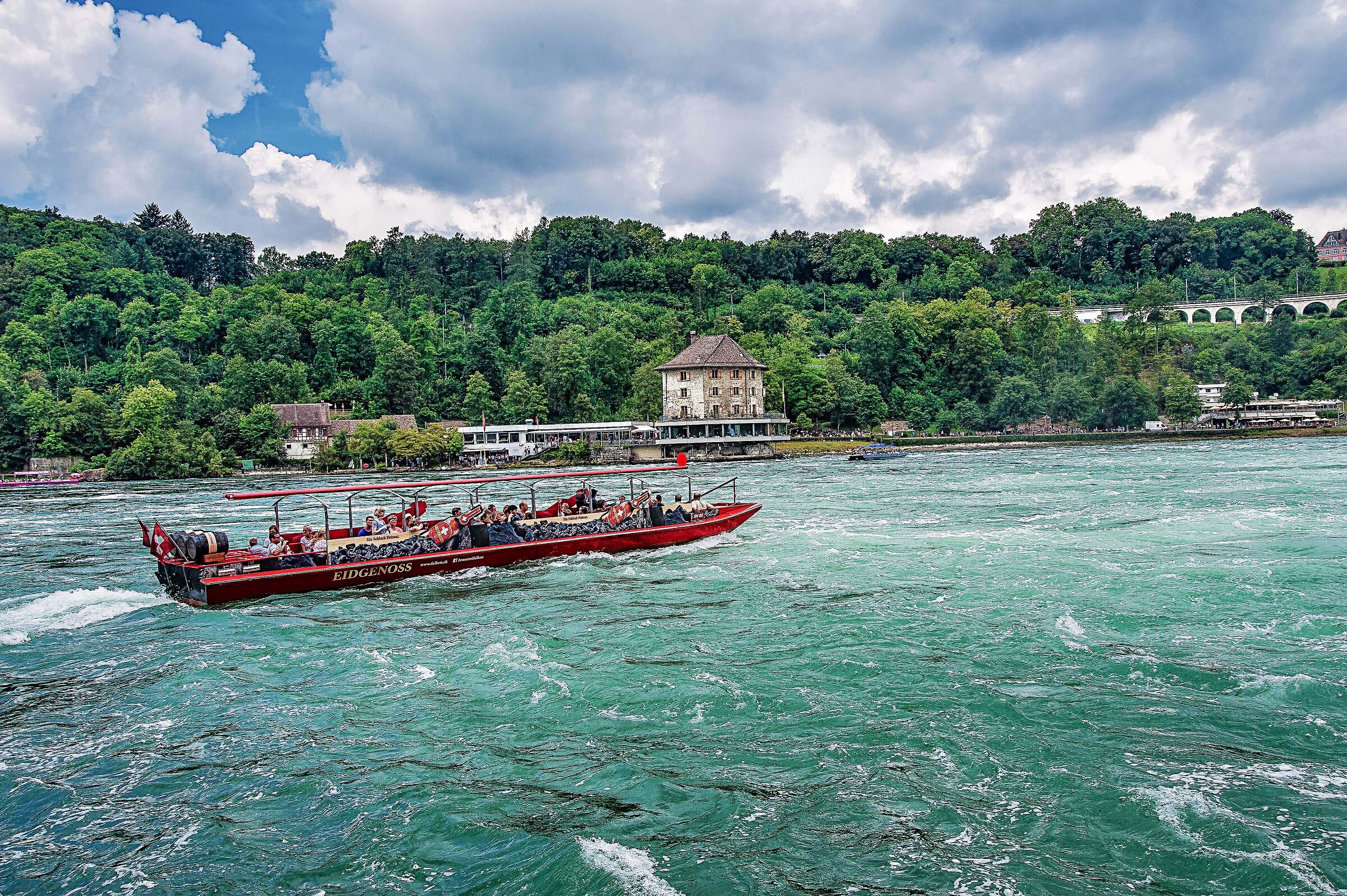 Rhine Falls 7