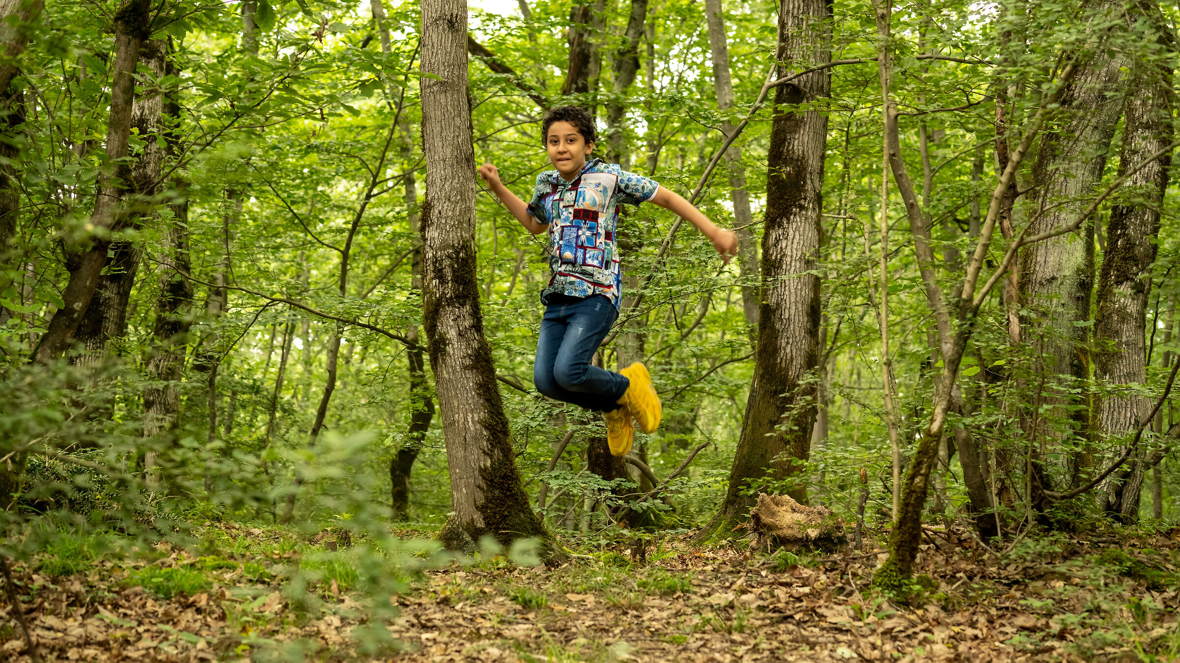 Foresta di Saravan a Rasht - Iran