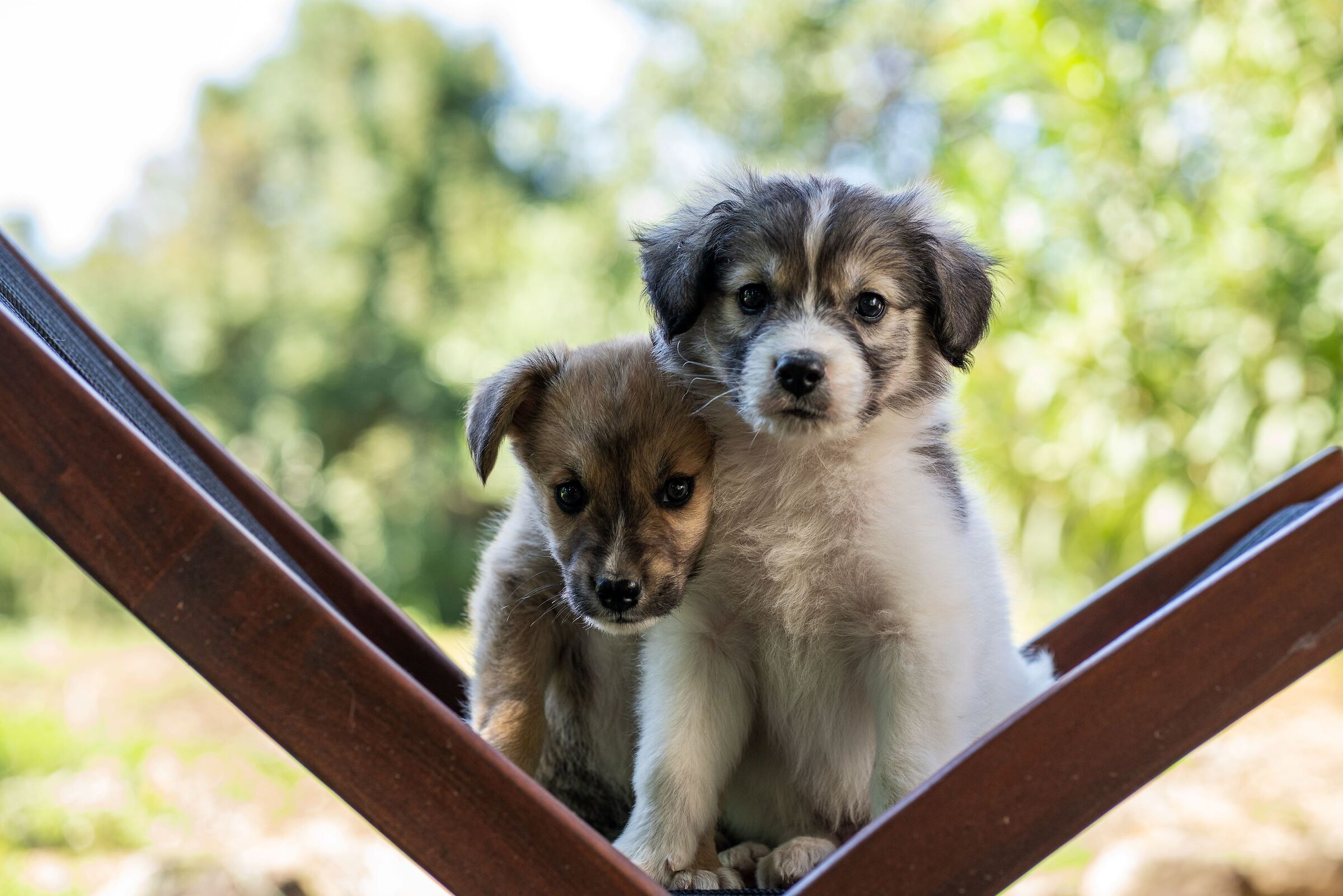 Siamo la coppia più bella del..