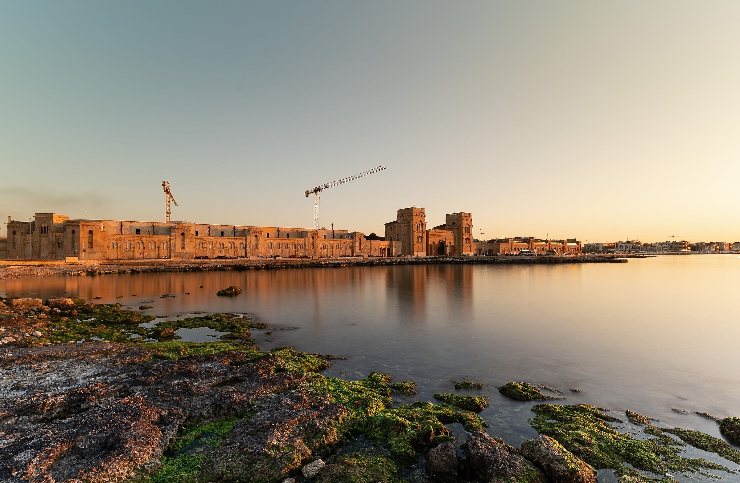 Bari