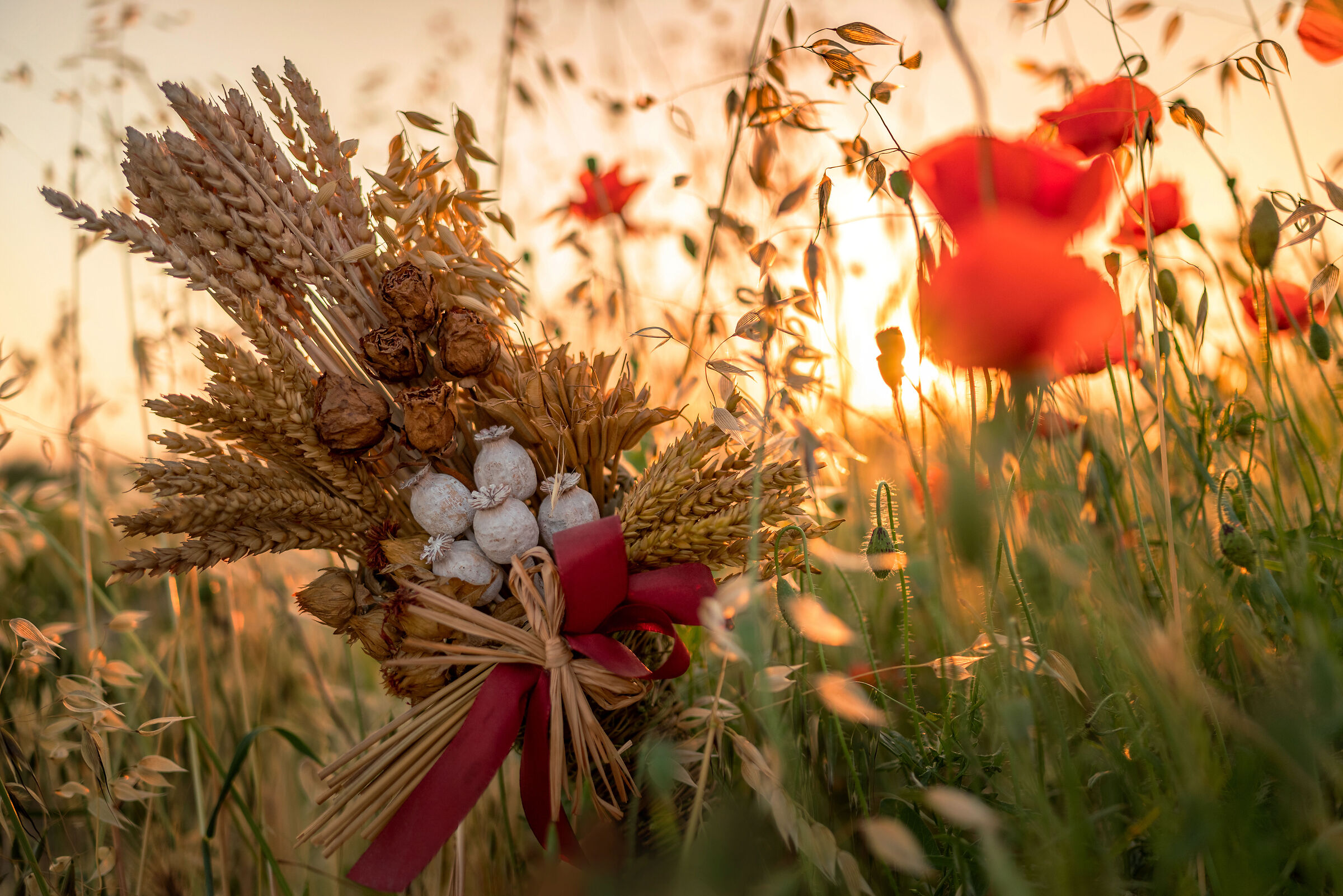 Gifts of the earth..