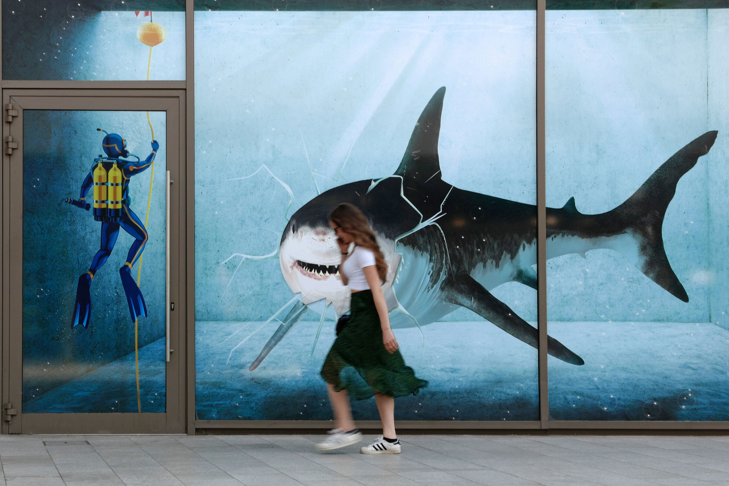 Shark