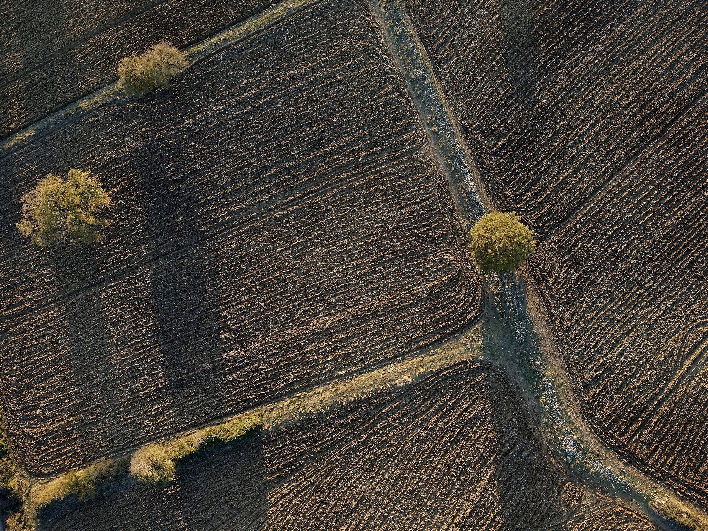 rural geometries