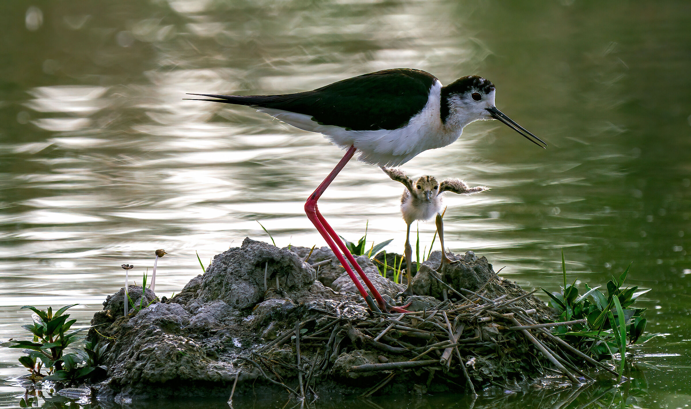 Make way for young people!