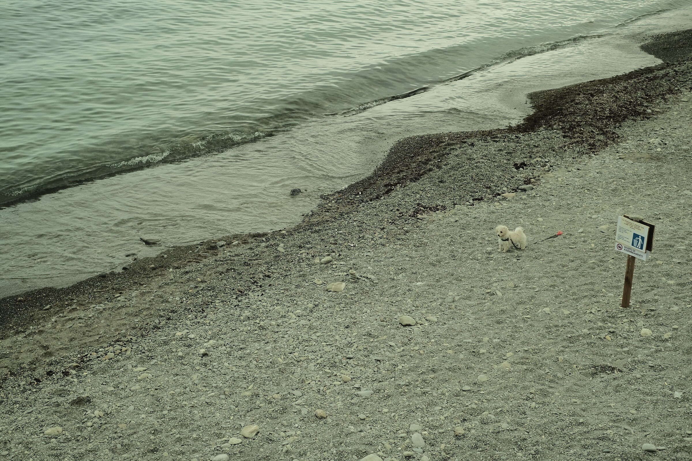 Finalmente libero! E ora?