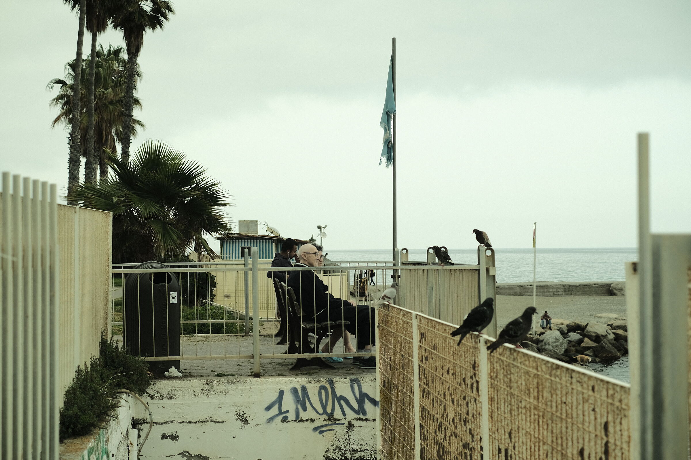 Fratellanza omornitologica