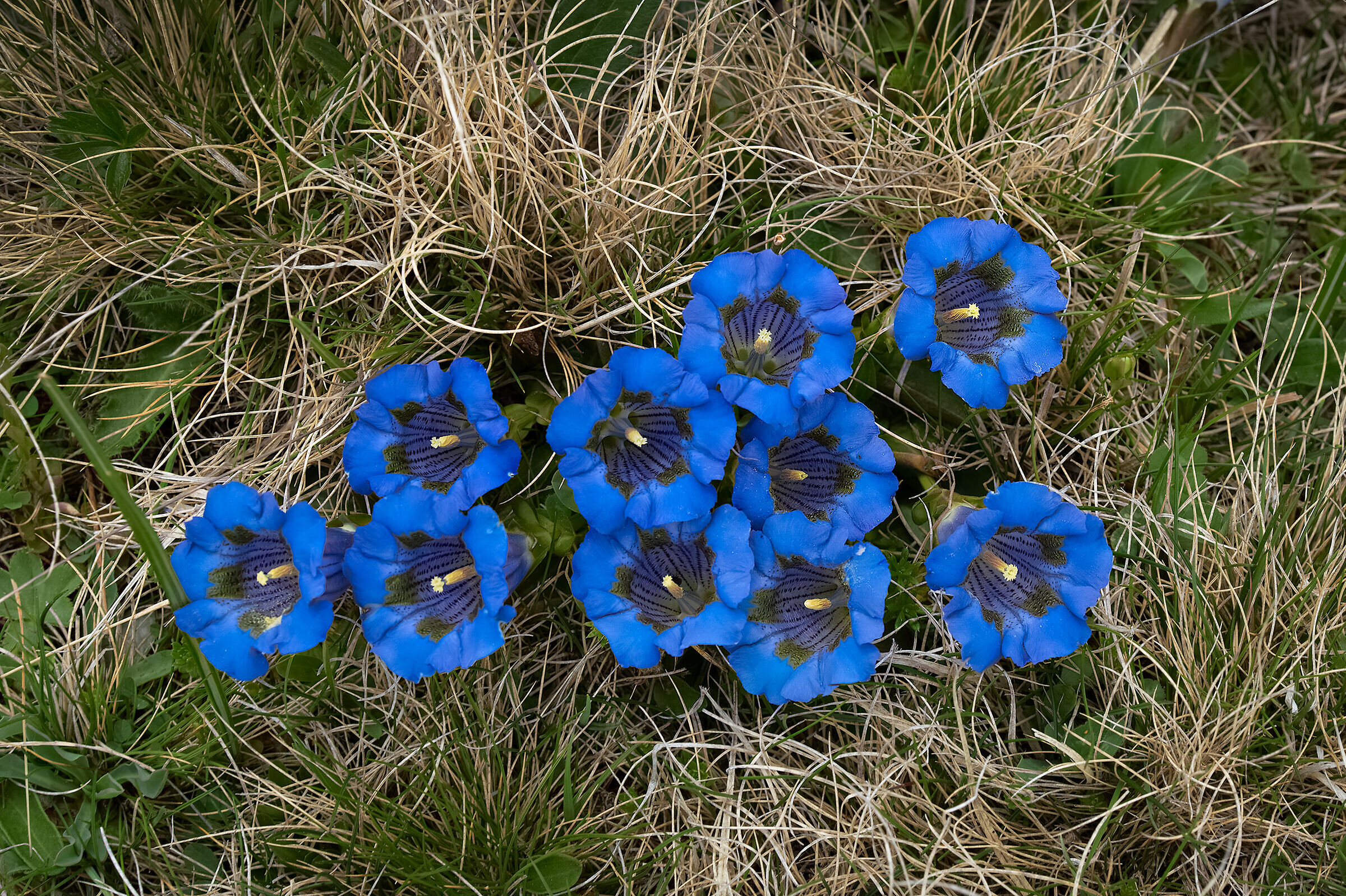 Dieci...cento...mille