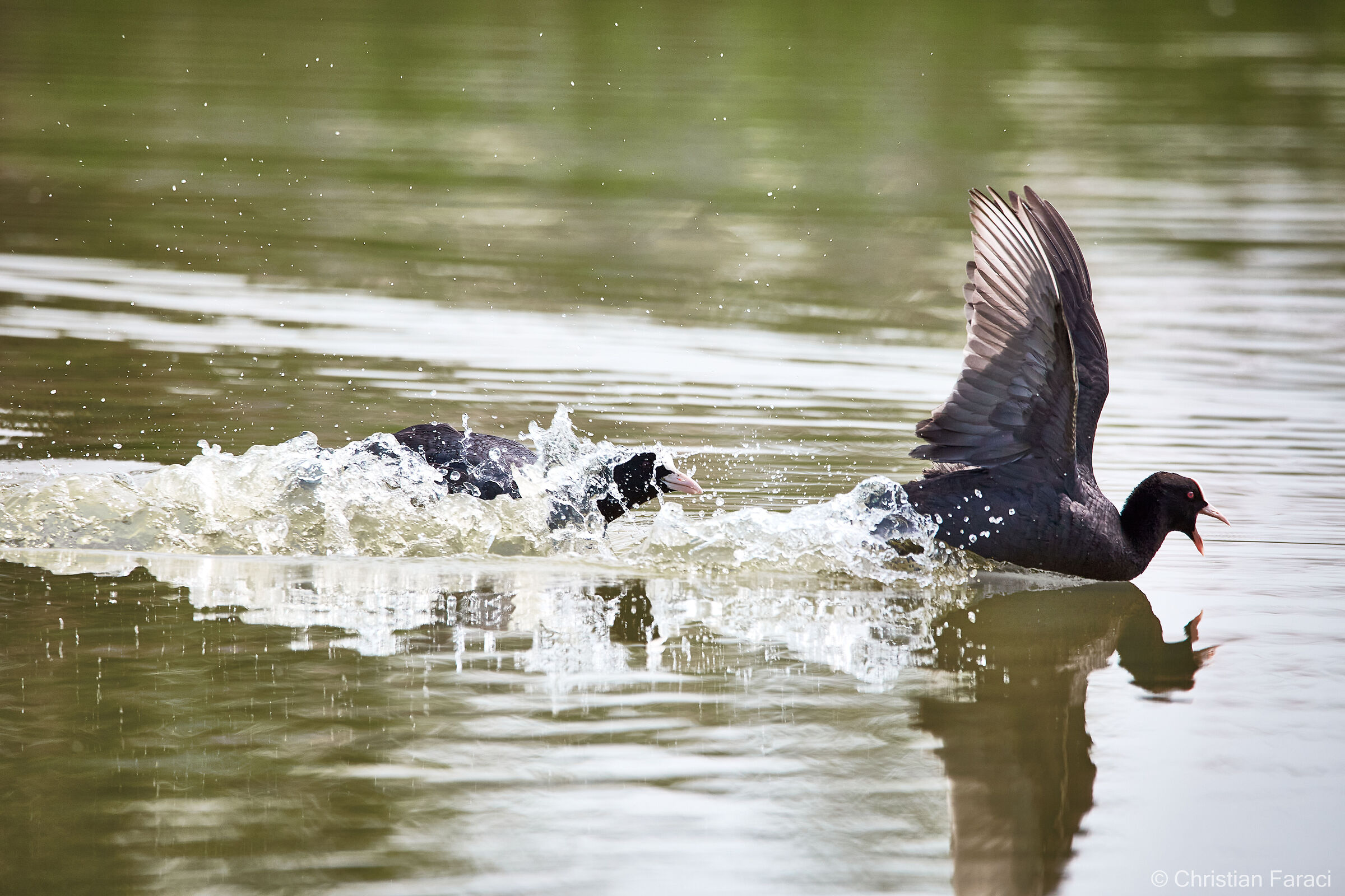 Manzolino 21/22-05-22