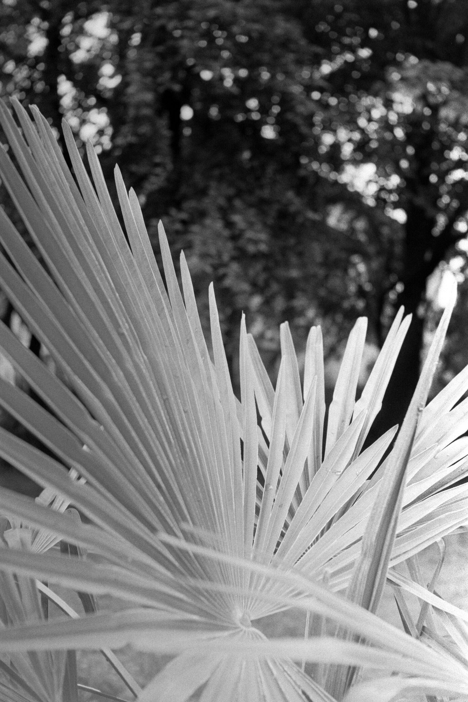 Extreme minimal agitation :))