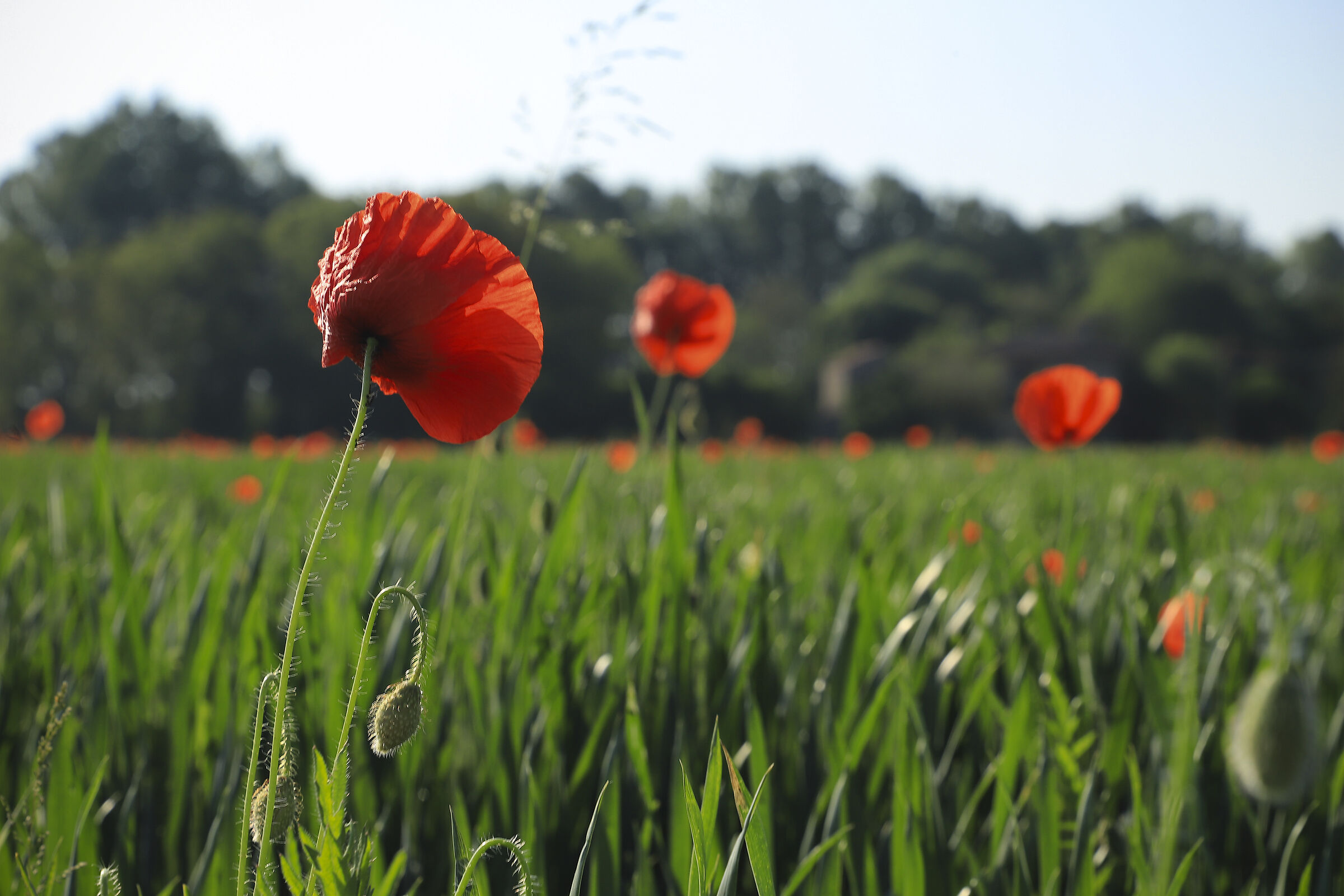 Gli ultimi saranno i primi