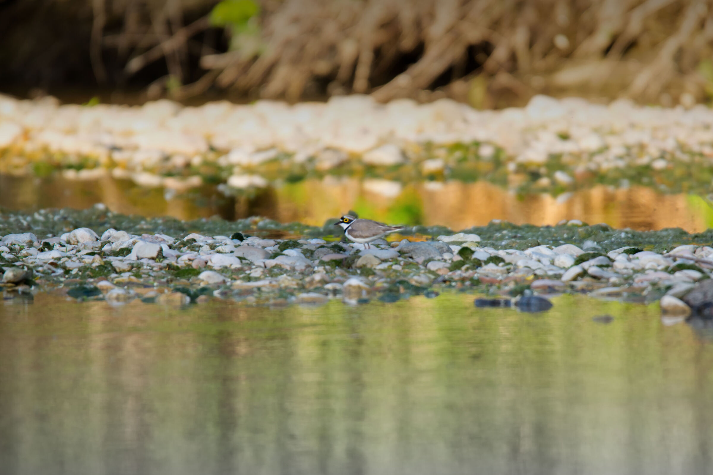 Focus manuale, non facile!