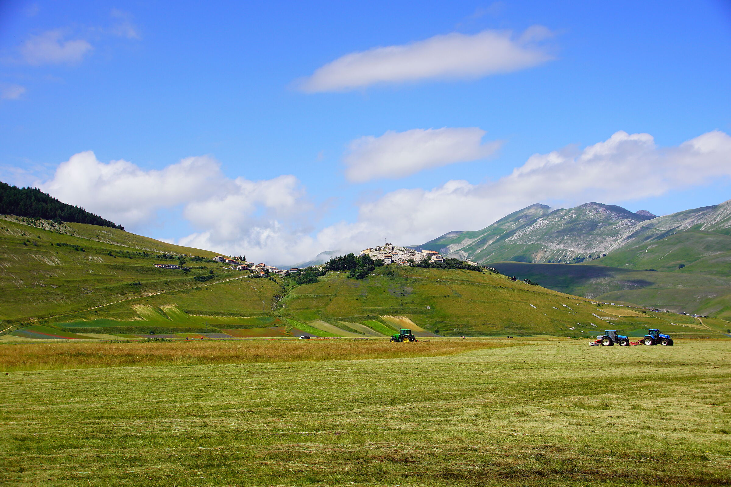 Piana di Castelluccio