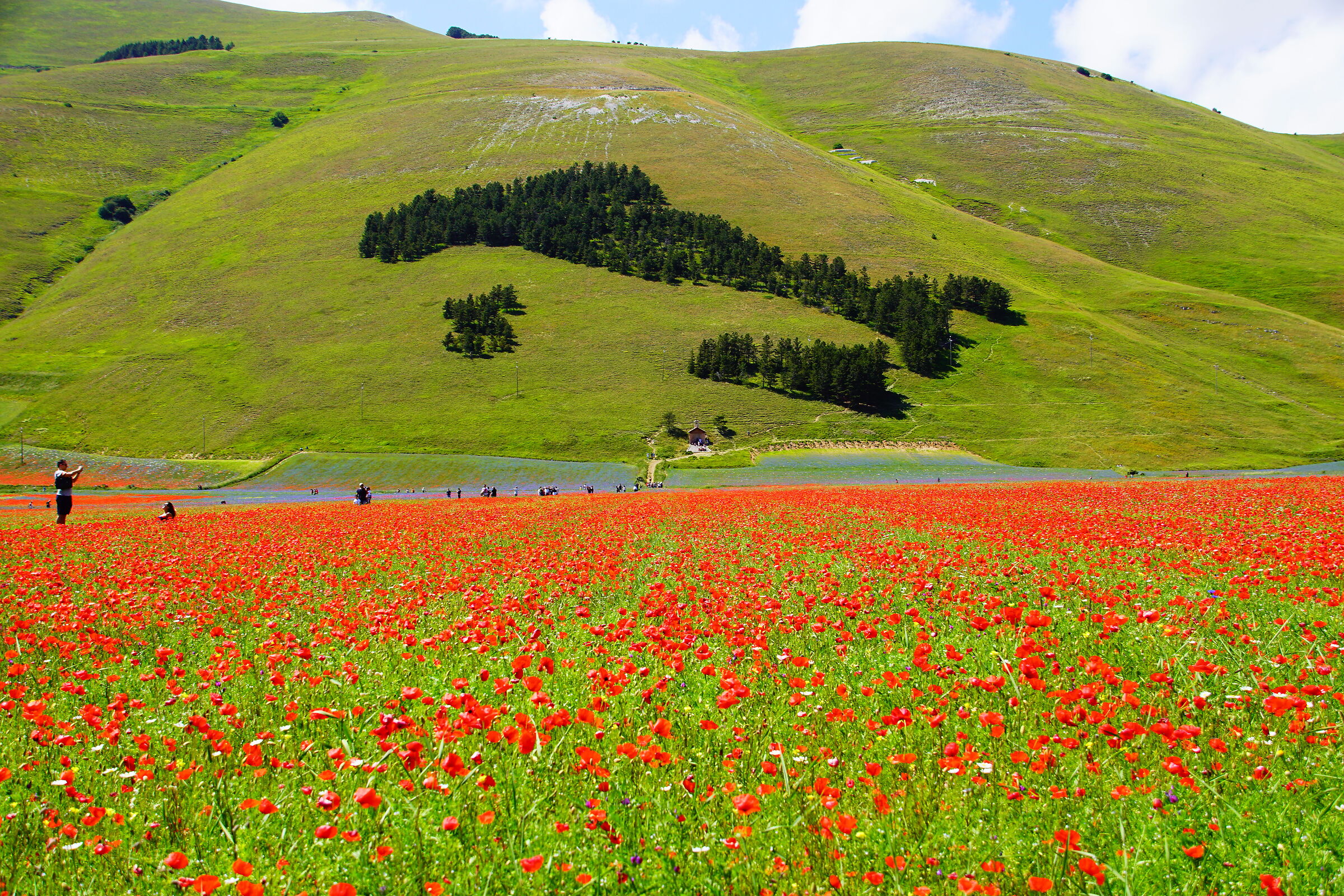 Piana di Castelluccio